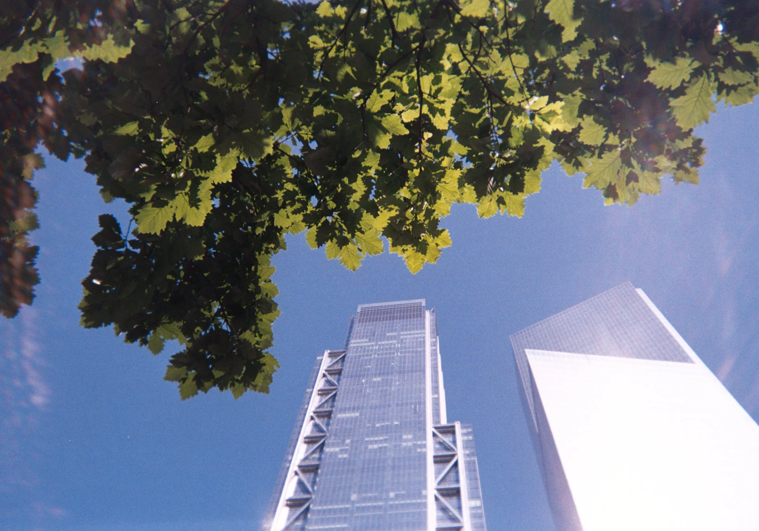 J12.jpg
