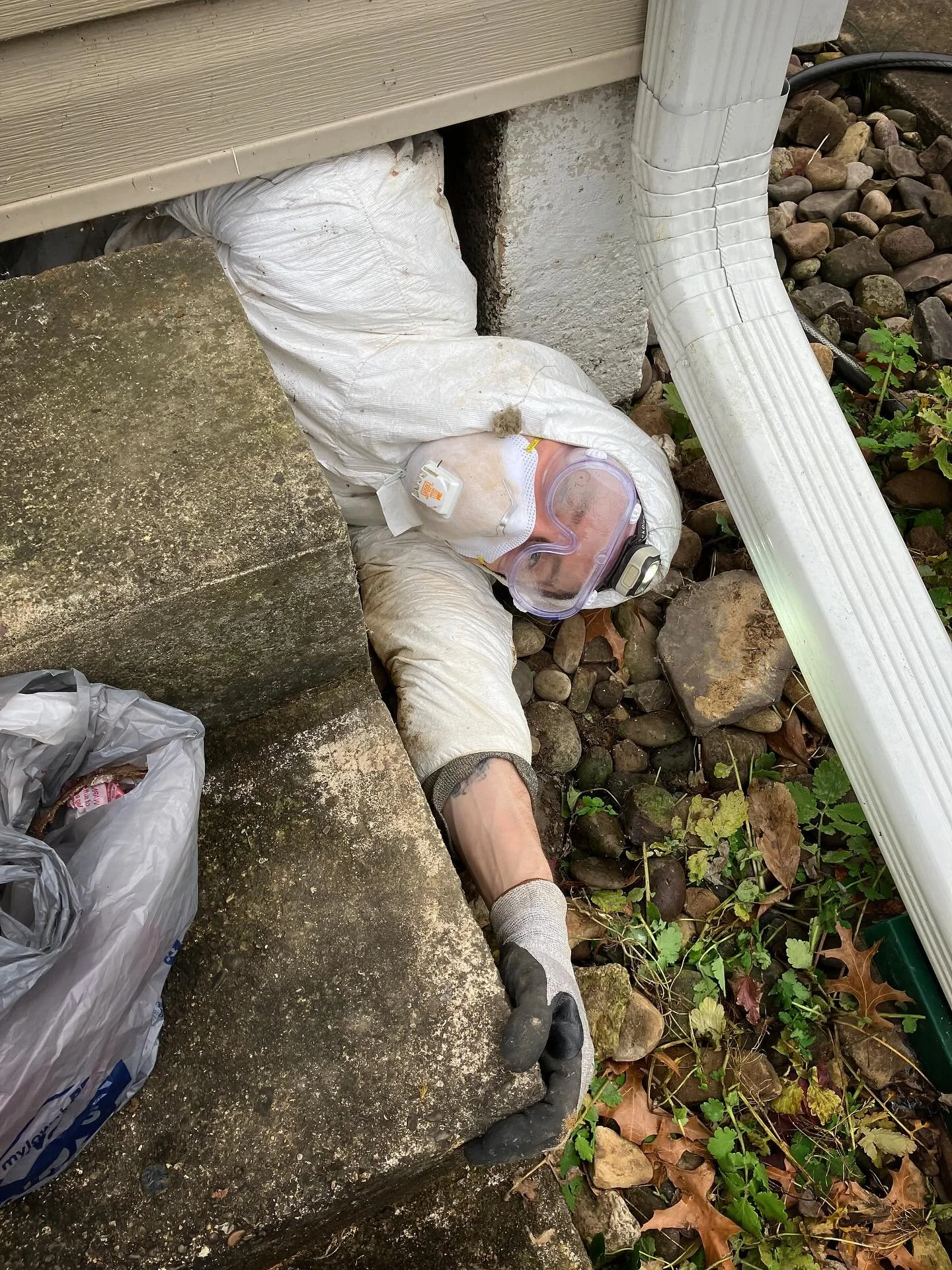 One of the less glamorous aspects of homeownership: insulating your old, spider-filled crawlspace. 

#centuryhome #homerenovation #dirtyjobs