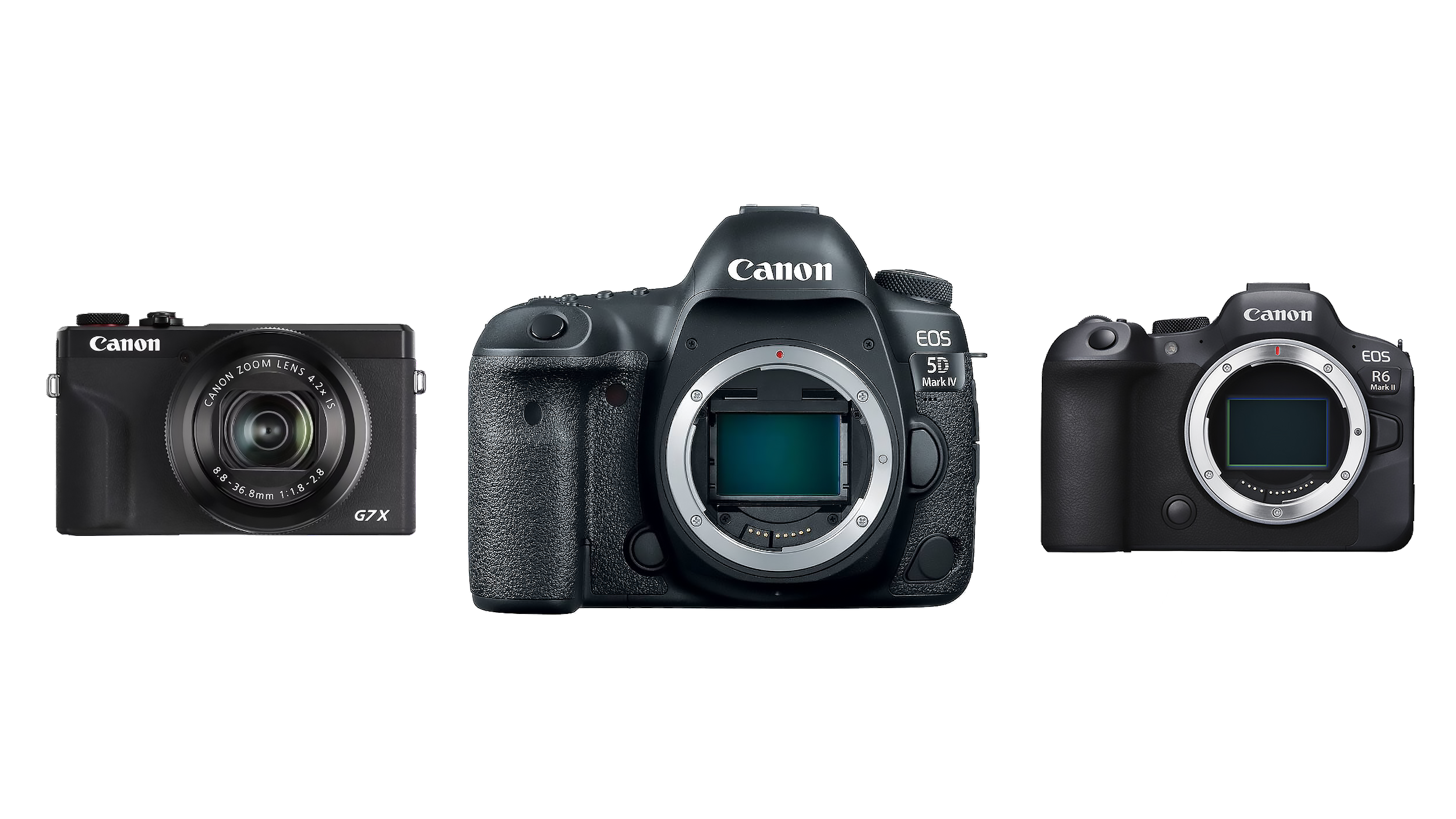 Camera Levels Explained: DSLR vs Mirrorless vs Compact