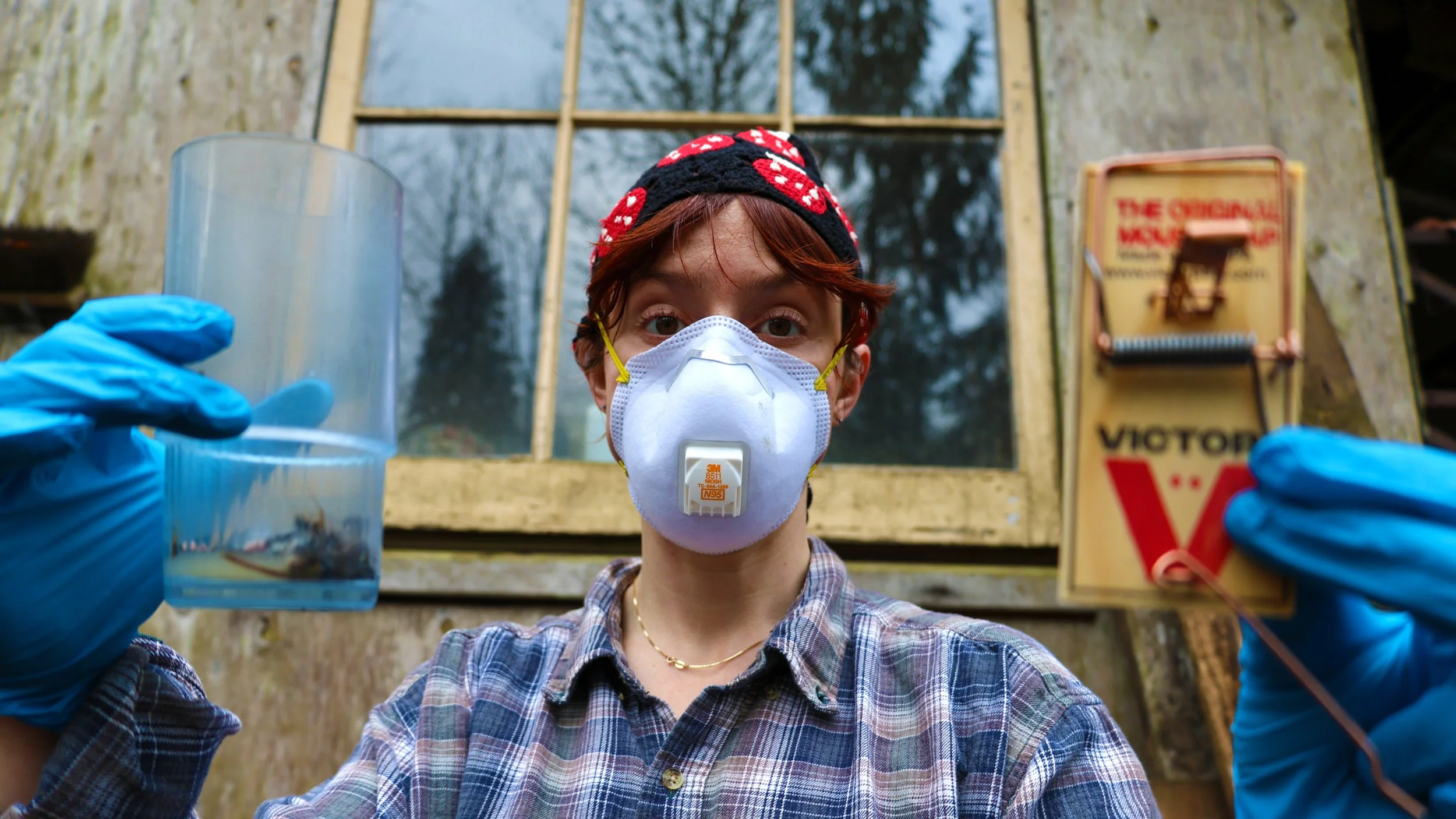 Going to War Against the Mice