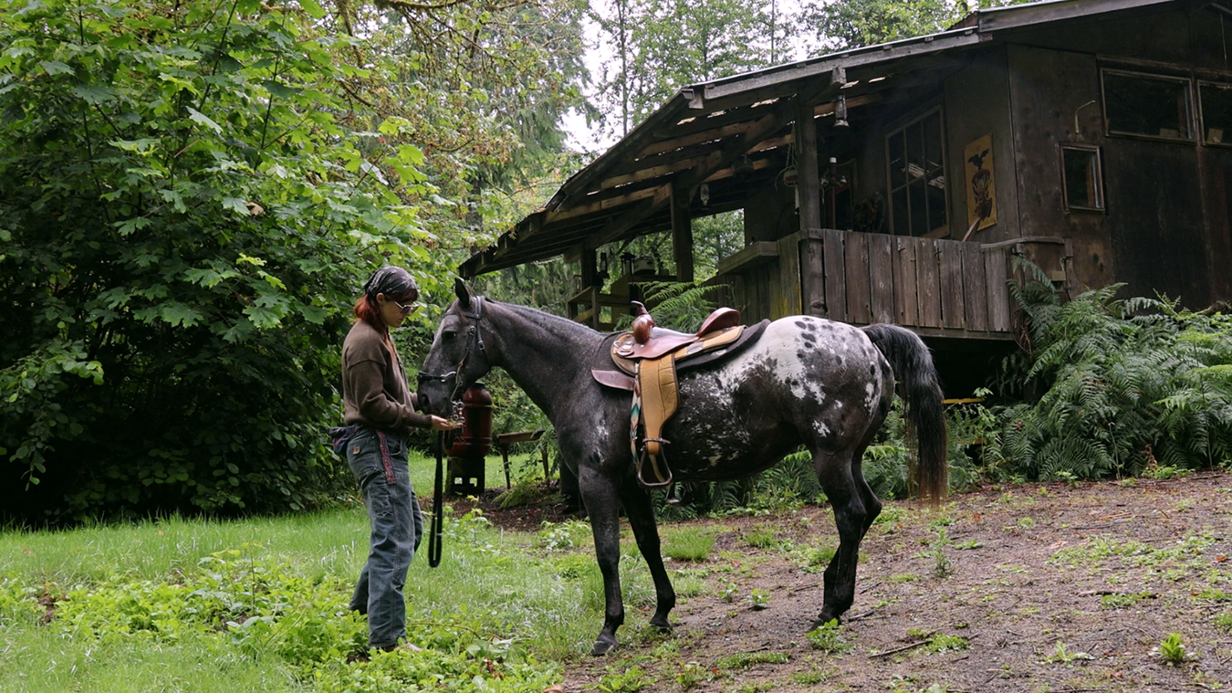 My Off Grid Horse Girl Dream Came True