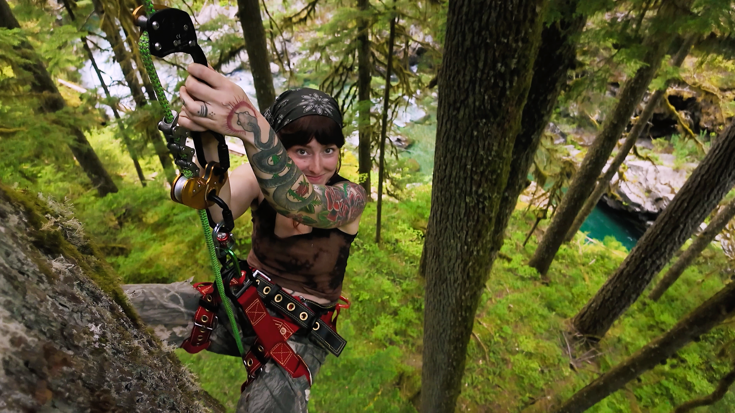 Learning to Climb Trees like a Warrior Princess