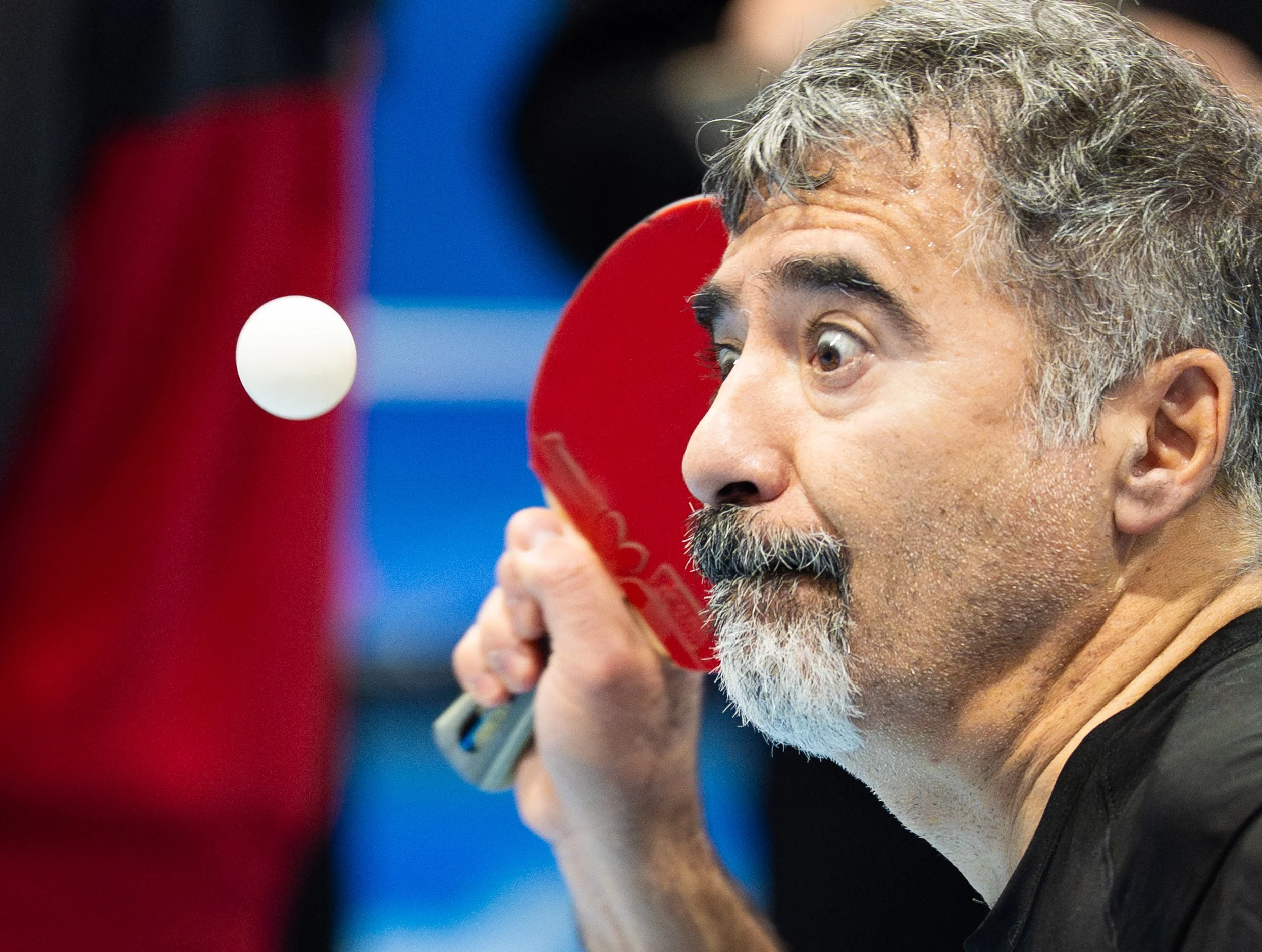 Sal Uttaro serves the ball to opponent Shah Purva during the Mike Brown Butterfly Fall Classic Tournament at the Rochester Sports Garden in Rochester, N.Y., on Nov. 9, 2025. Uttaro ultimately won the game in 4. 