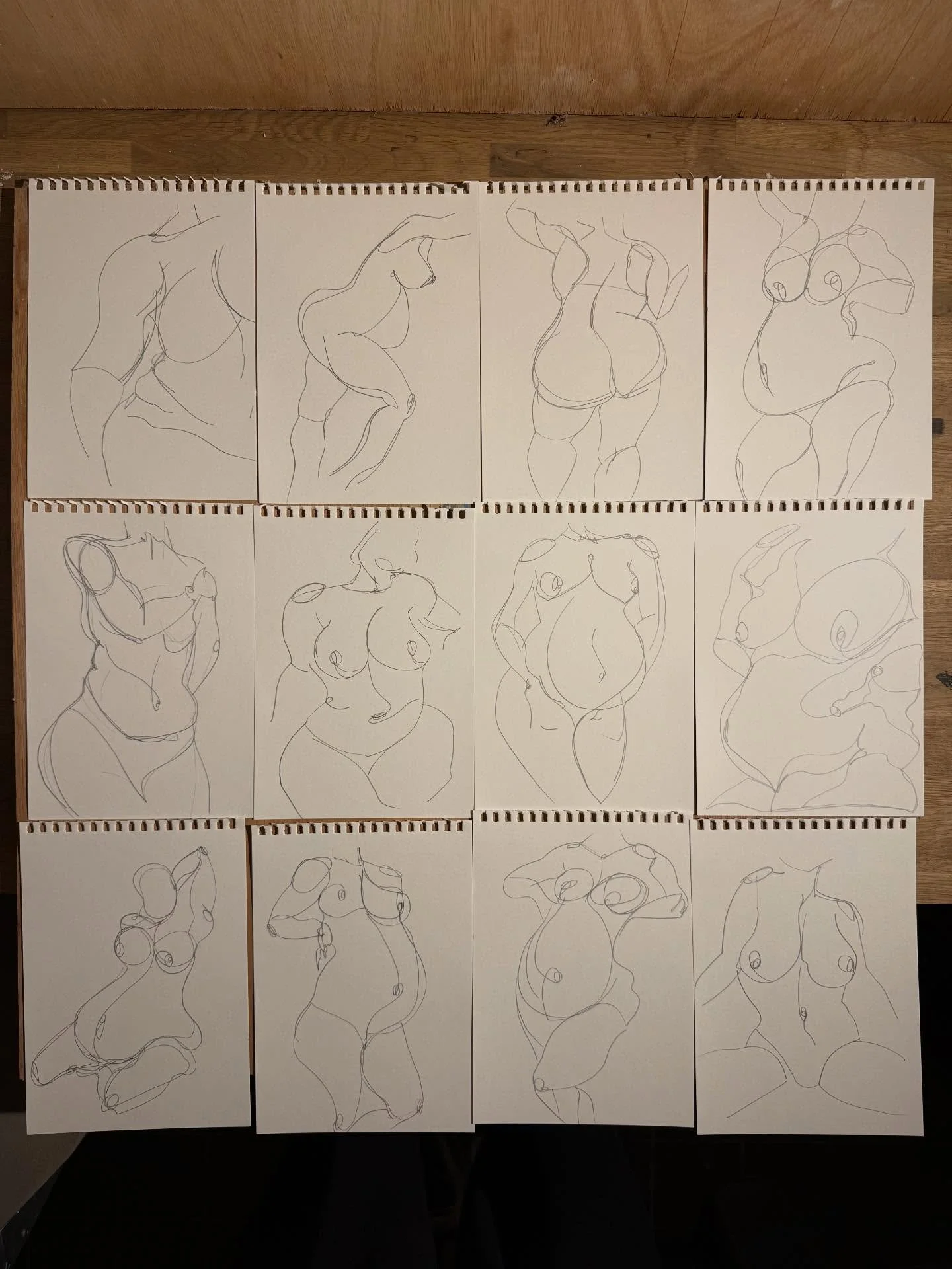 Drawn some baddies 🤩

Gonna get a lick of paint on them and see what happens 😍

Which one has the best curves for you?