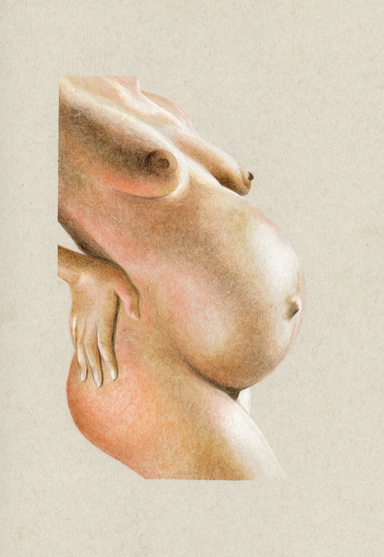 Lo Res Scan RF25.png