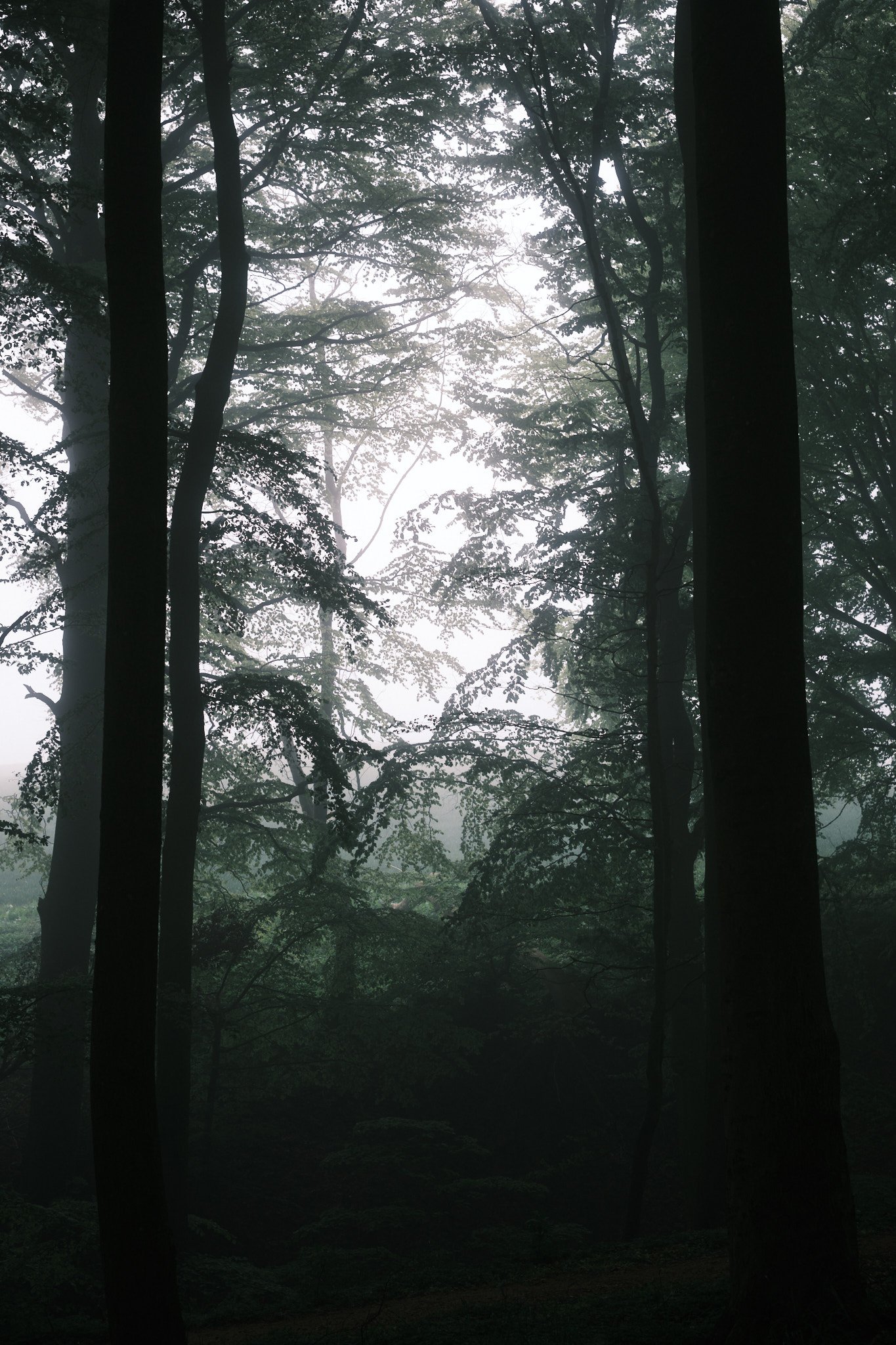 XT052360.jpg