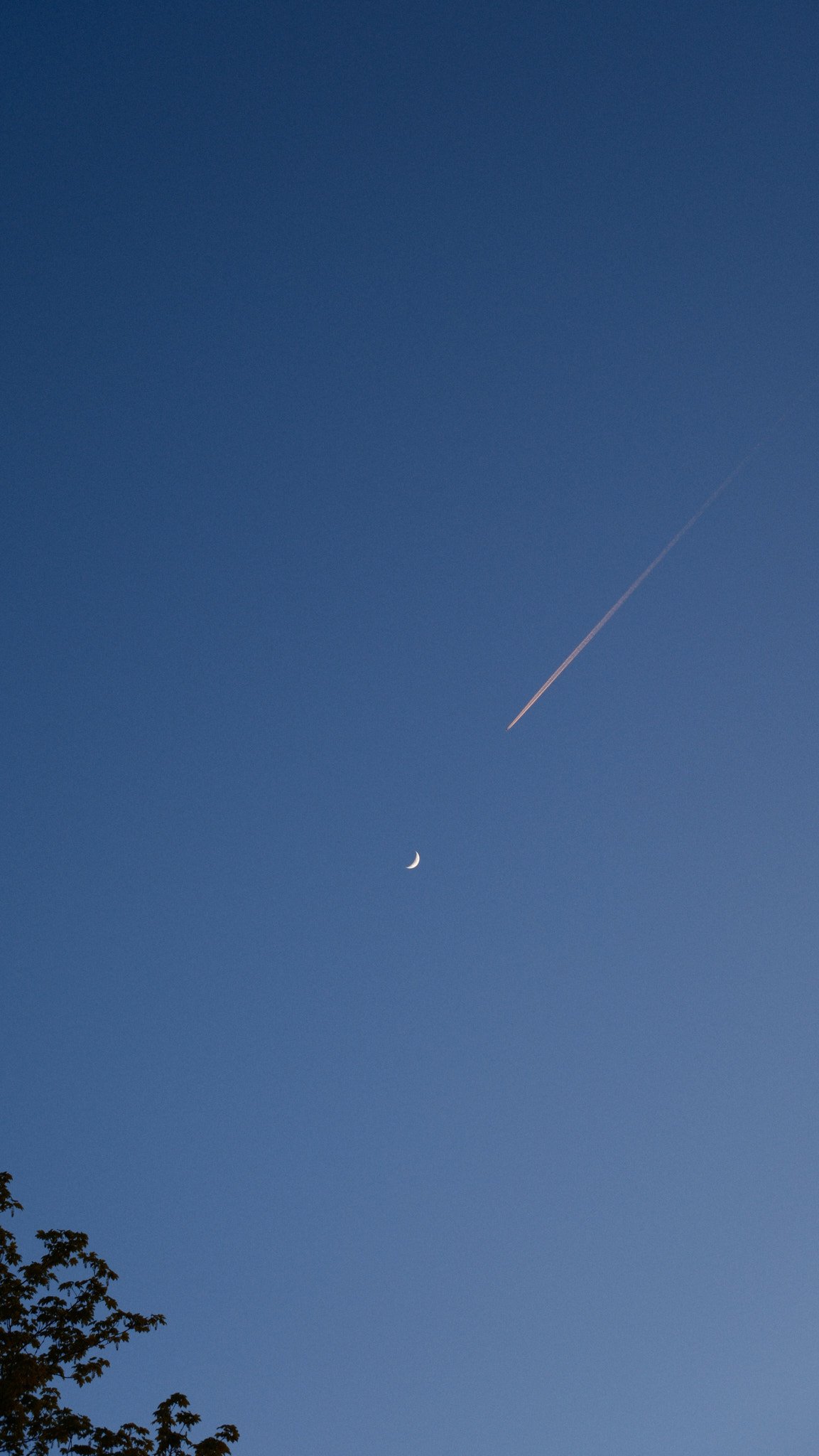 XT052740.jpg