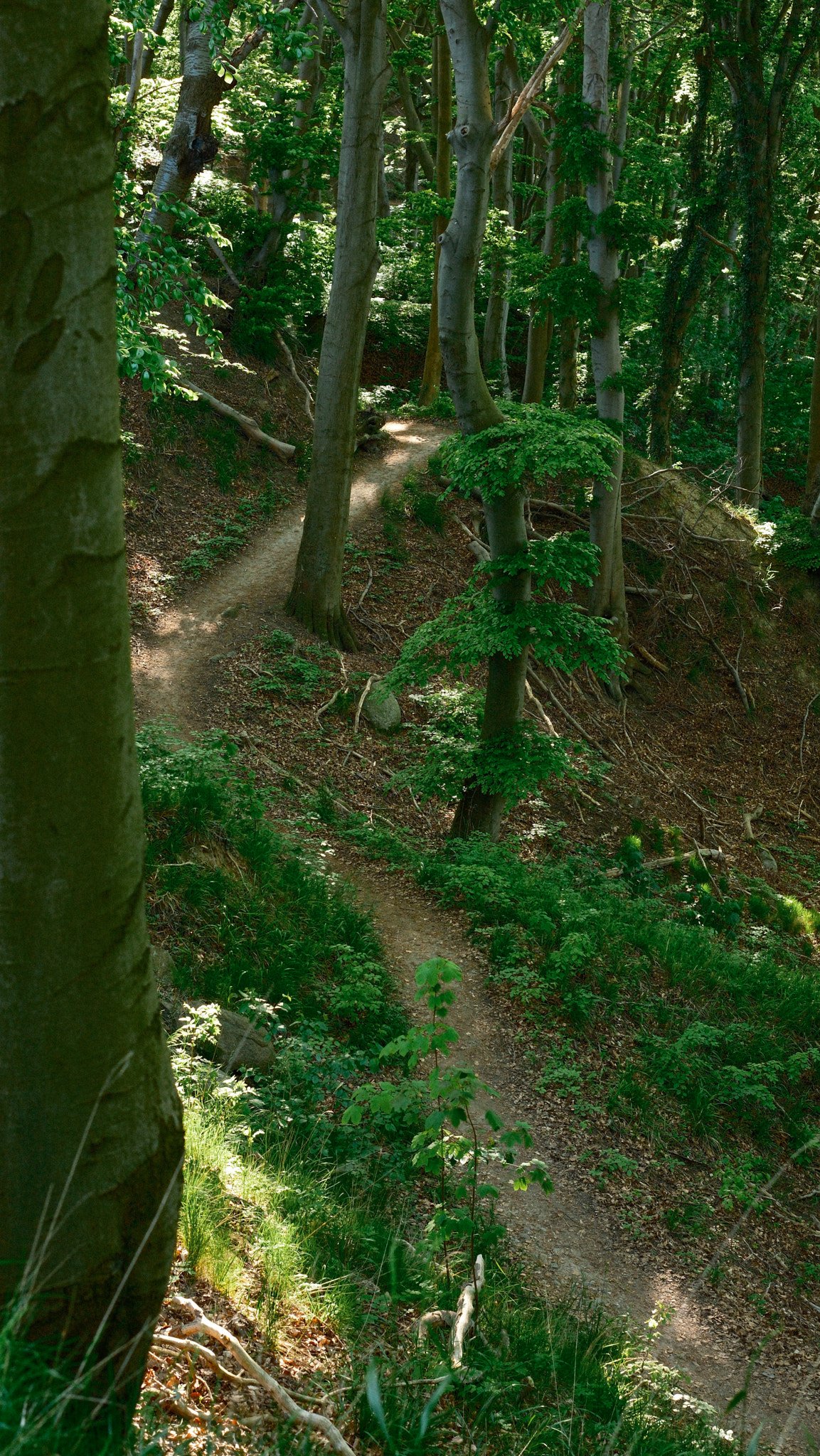 XT052677.jpg