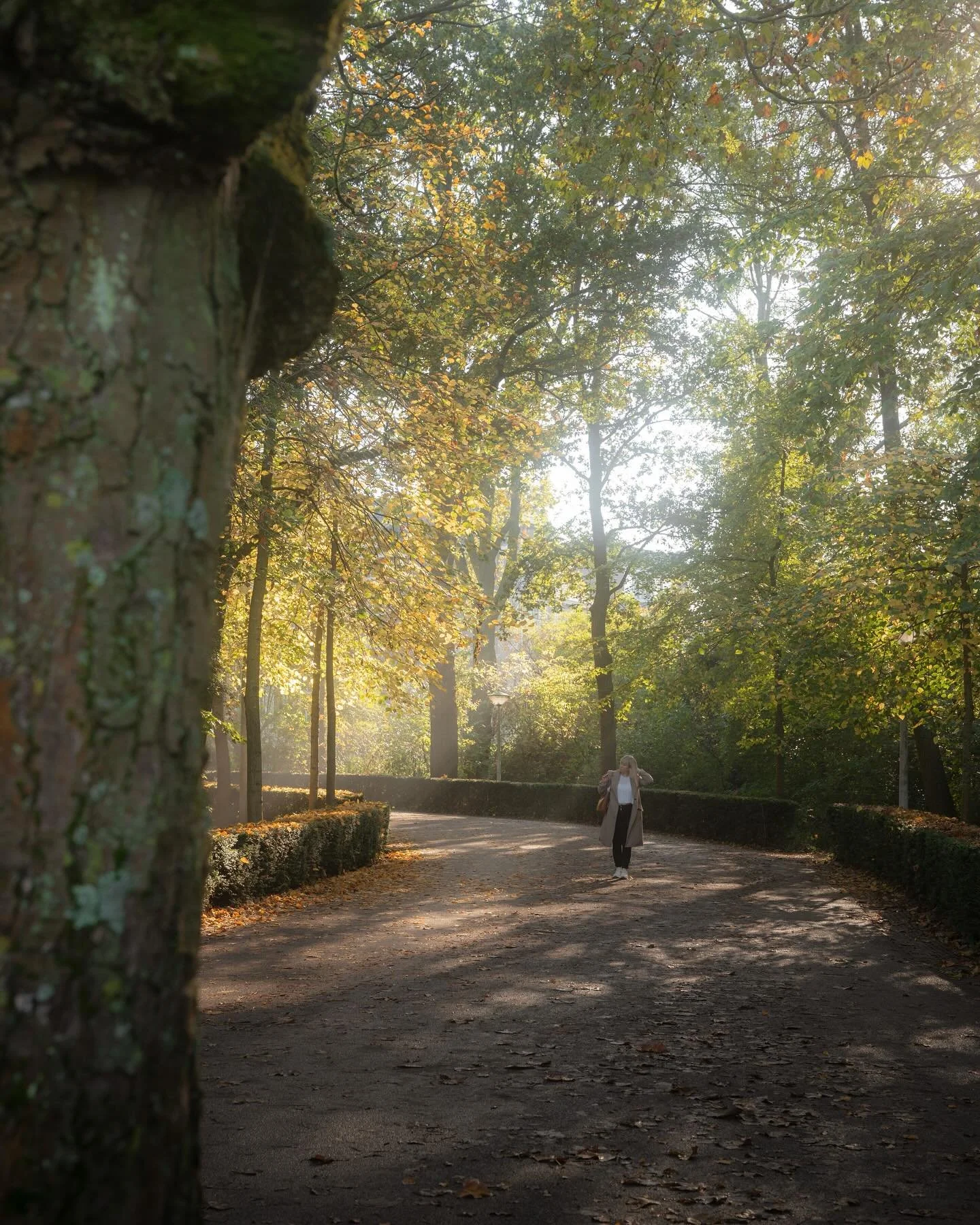 Herbstspaziergang 🍂
.
#iamsterdam #amsterdam #netherlands #europetravel #citytrip #couplegoals #autumn #autumnleafs #fallseason #autumnvibes #sonyalpha #AlphaAutumnCH #herbst