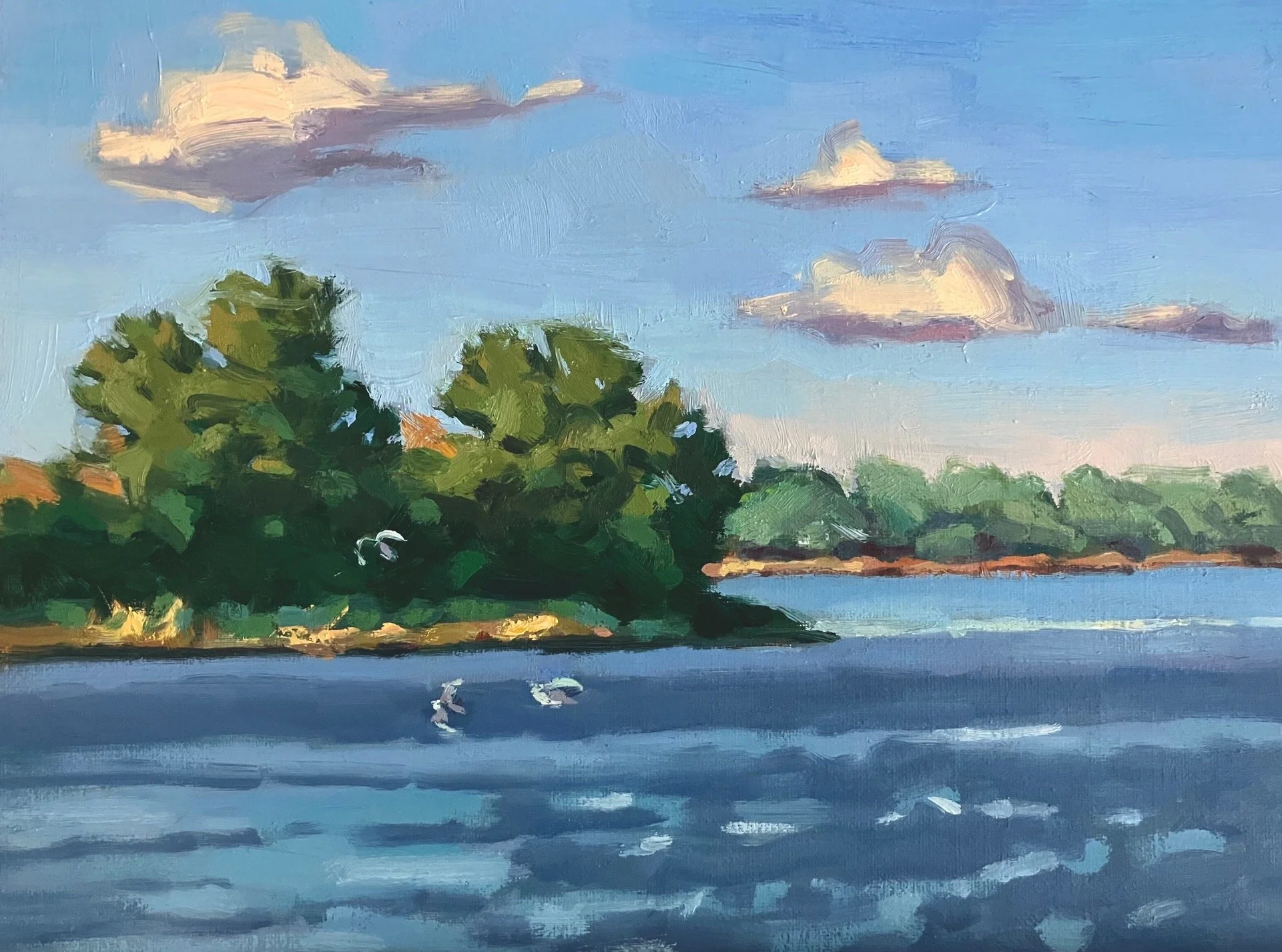 Evening-with-Gulls_8x10.jpg