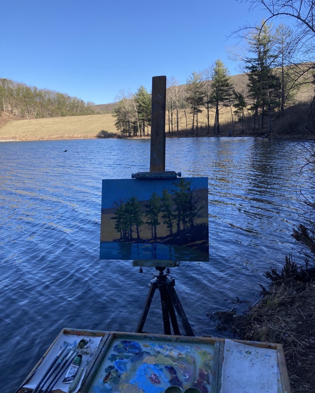 I was definitely in deep shadow by the time I finished this painting at Elkhorn Lake in Augusta County.