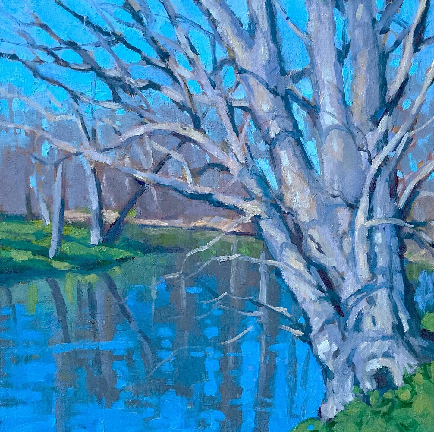 Impressive spreading limbs on this massive tree at waters edge in Crimora. 

#augustacounty 
#riversofvirginia 
#womenpaintersofinstagram 
#pleinairpainters 
#oilpainting