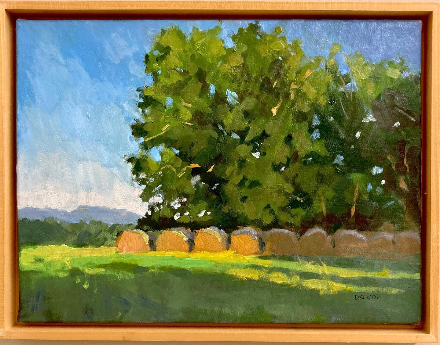 Some brilliant color landscapes painted in Augusta County. One more week on exhibit before they rotate out of the gallery. 

#augustacountyva 
#virginiapainter