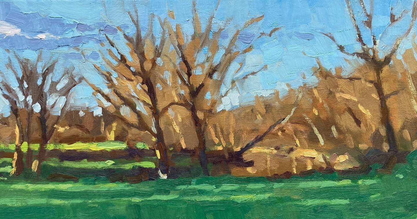 6x12 oil. Early spring view of South River. 

#virginiapainter
#lovevirginia 
#virginiapleinairpainting 
#augustacountyva 
#oilpainting