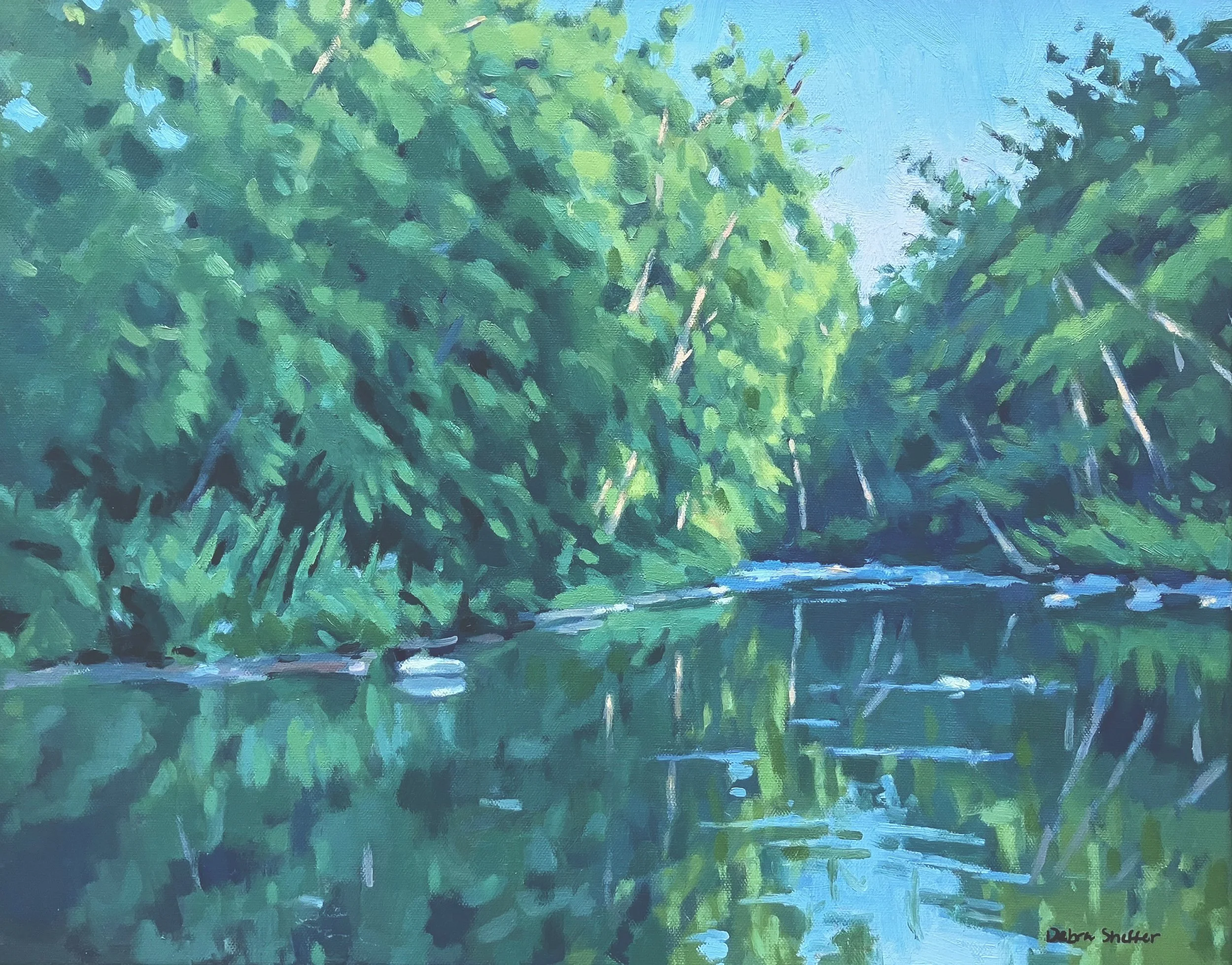 Reflections on the Bullpasture River