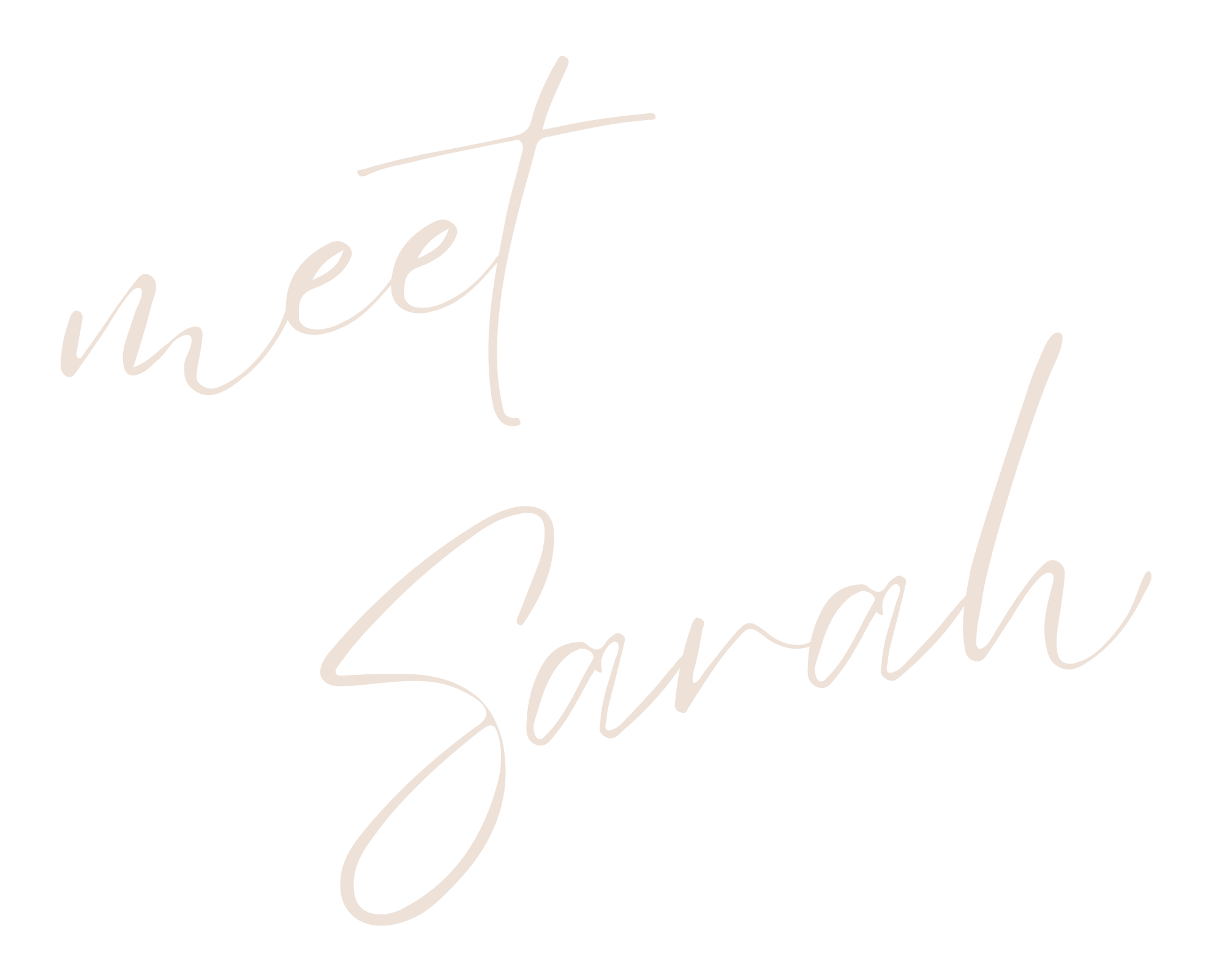 About — Sarah Gibbons & Co.