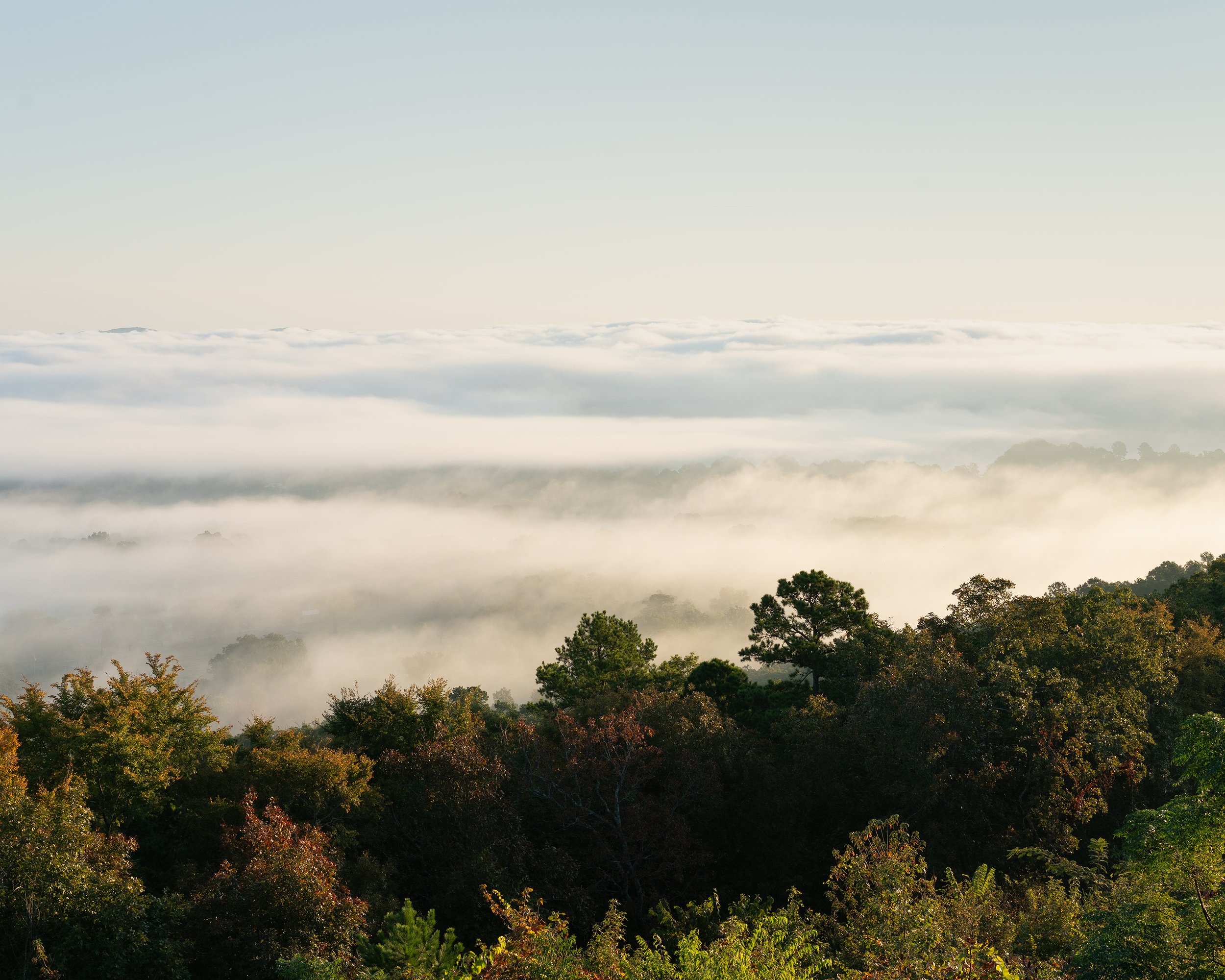 Those Who Walk Away - 01.jpg