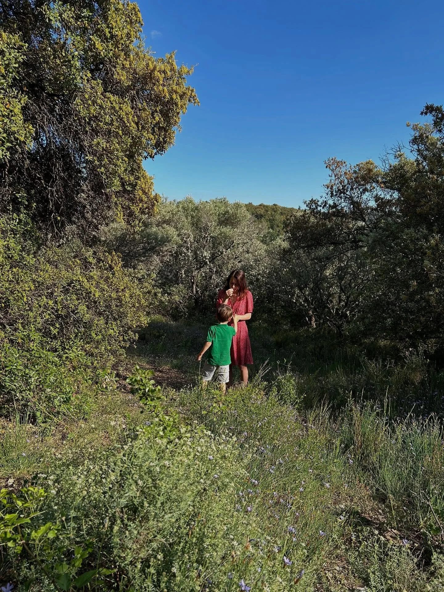 Si relier santé et écologie est devenu une évidence, c’est plus récemment que j’ai fait le même lien entre éducation et environnement.
Je partageais dernièrement les projets