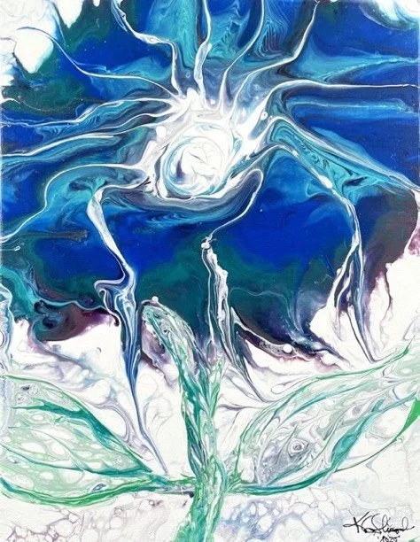 Dolphin Face