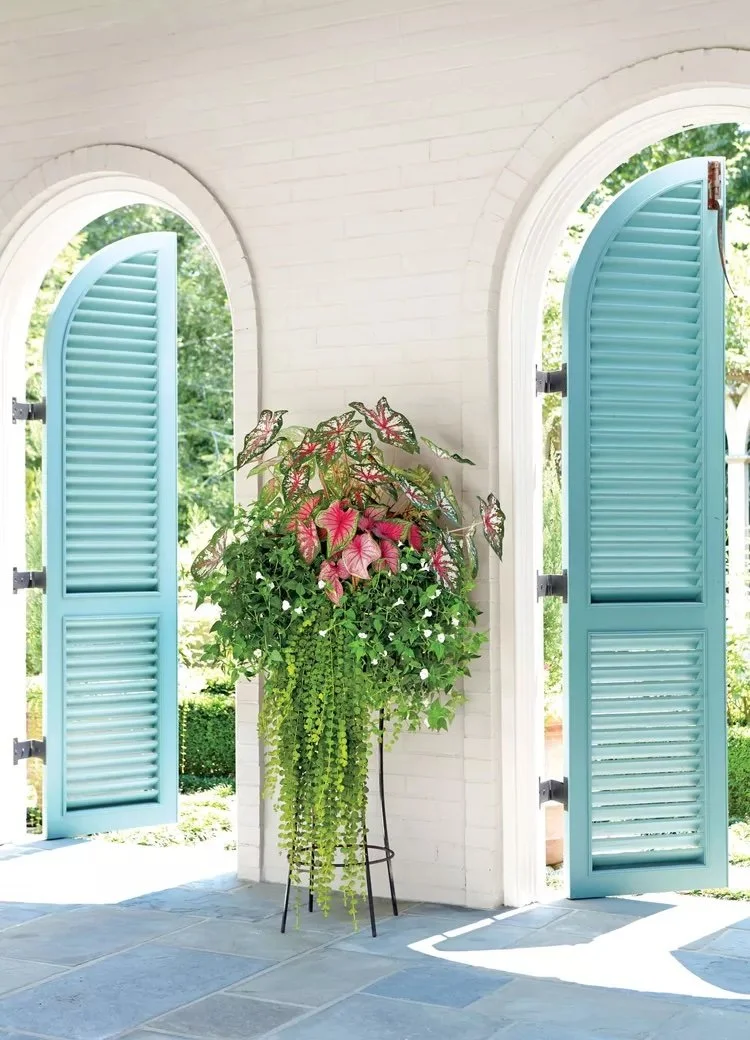 tall-shade-container-garden-2349202-18198-_1-9abe55531bb9454795761dd044bca847.jpeg