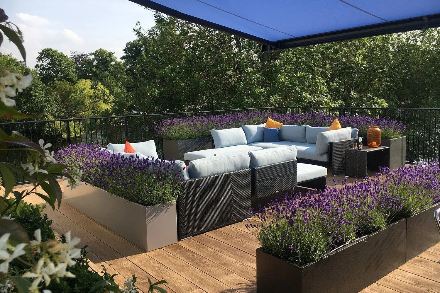 outdoor-lavender-garden.jpg