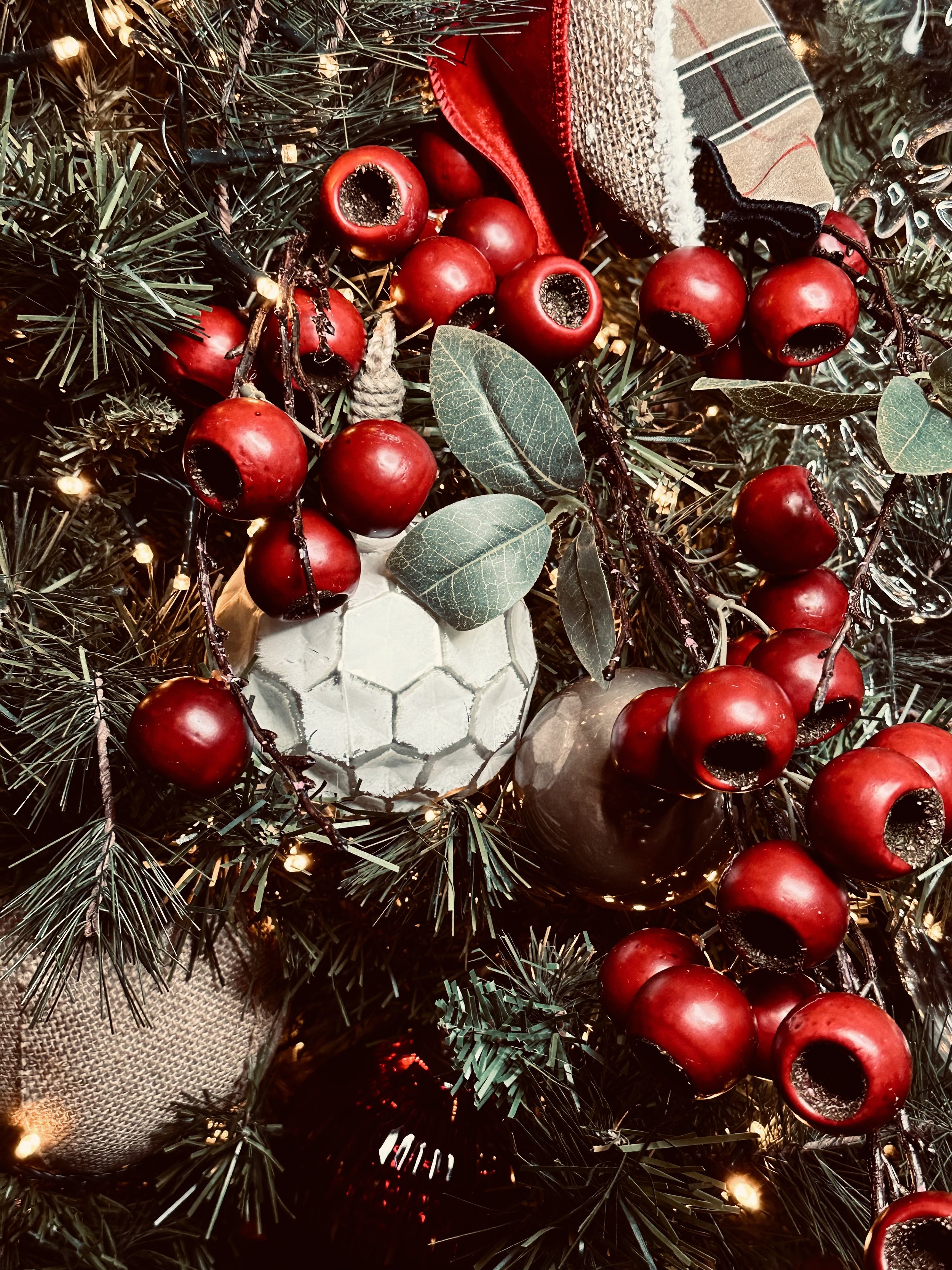 IMG_6358.jpeg