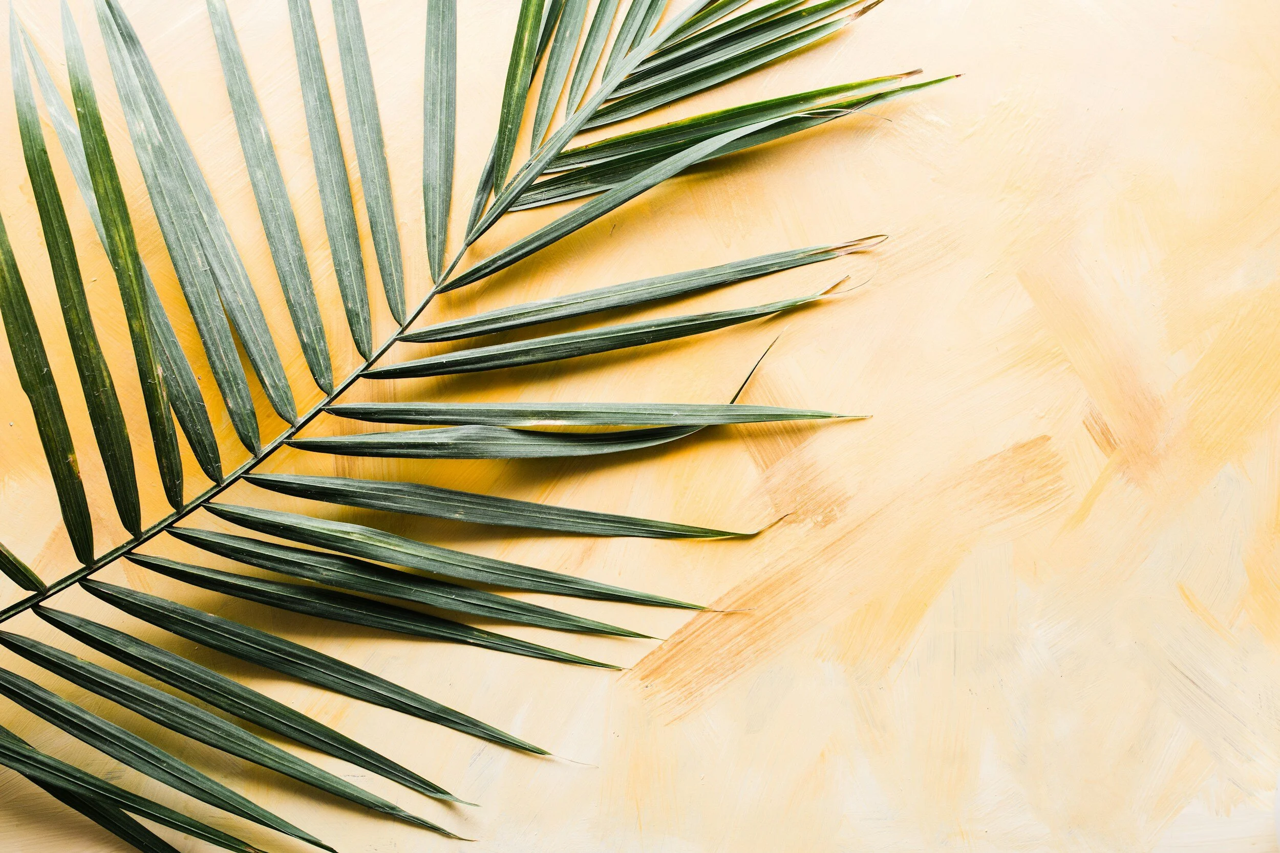 Palm Sunday Reflection