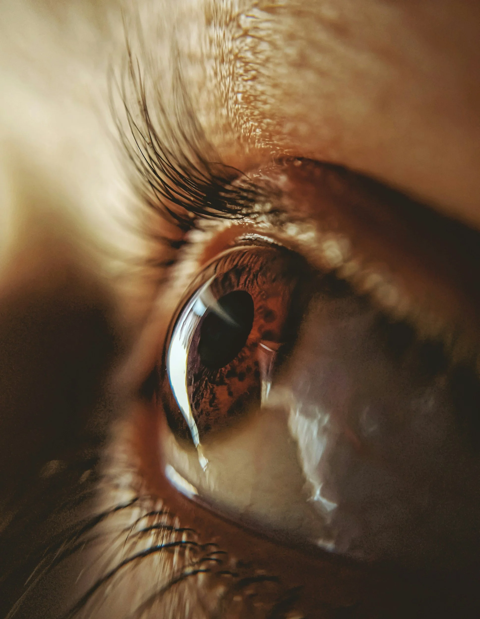 In Search of Specks