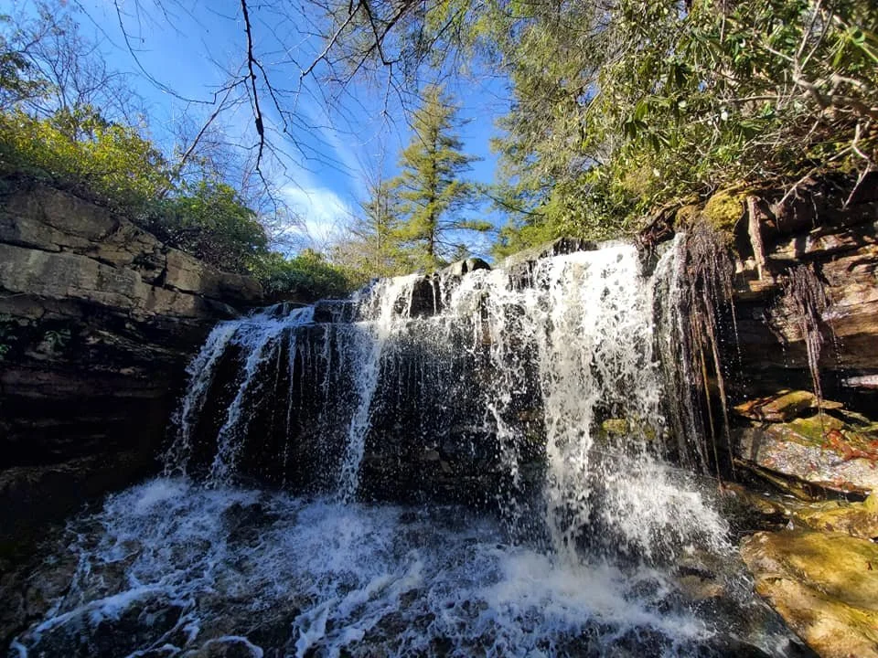 Allegheny Trail Sections — Allegheny Trail