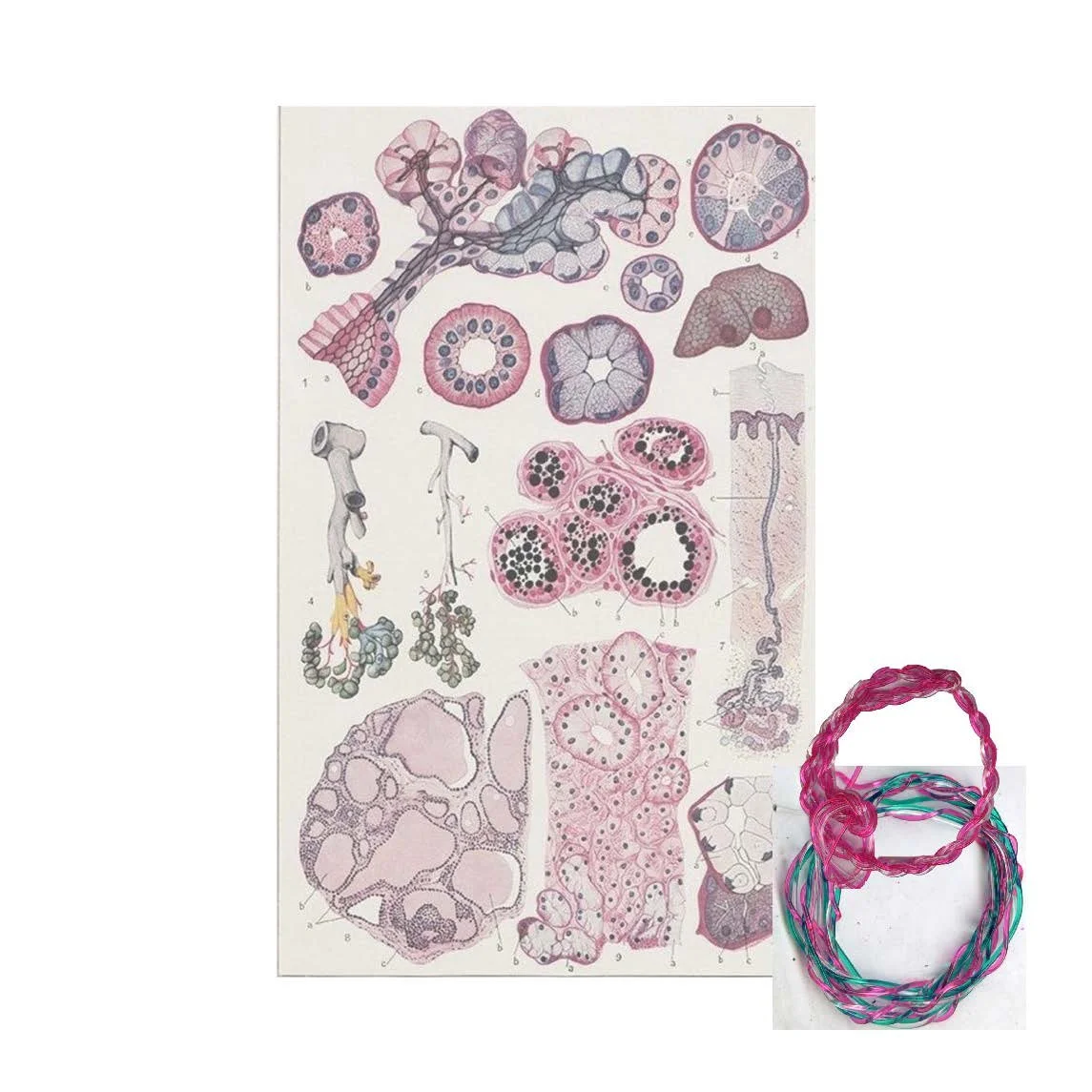 website layout_Page_05.jpg