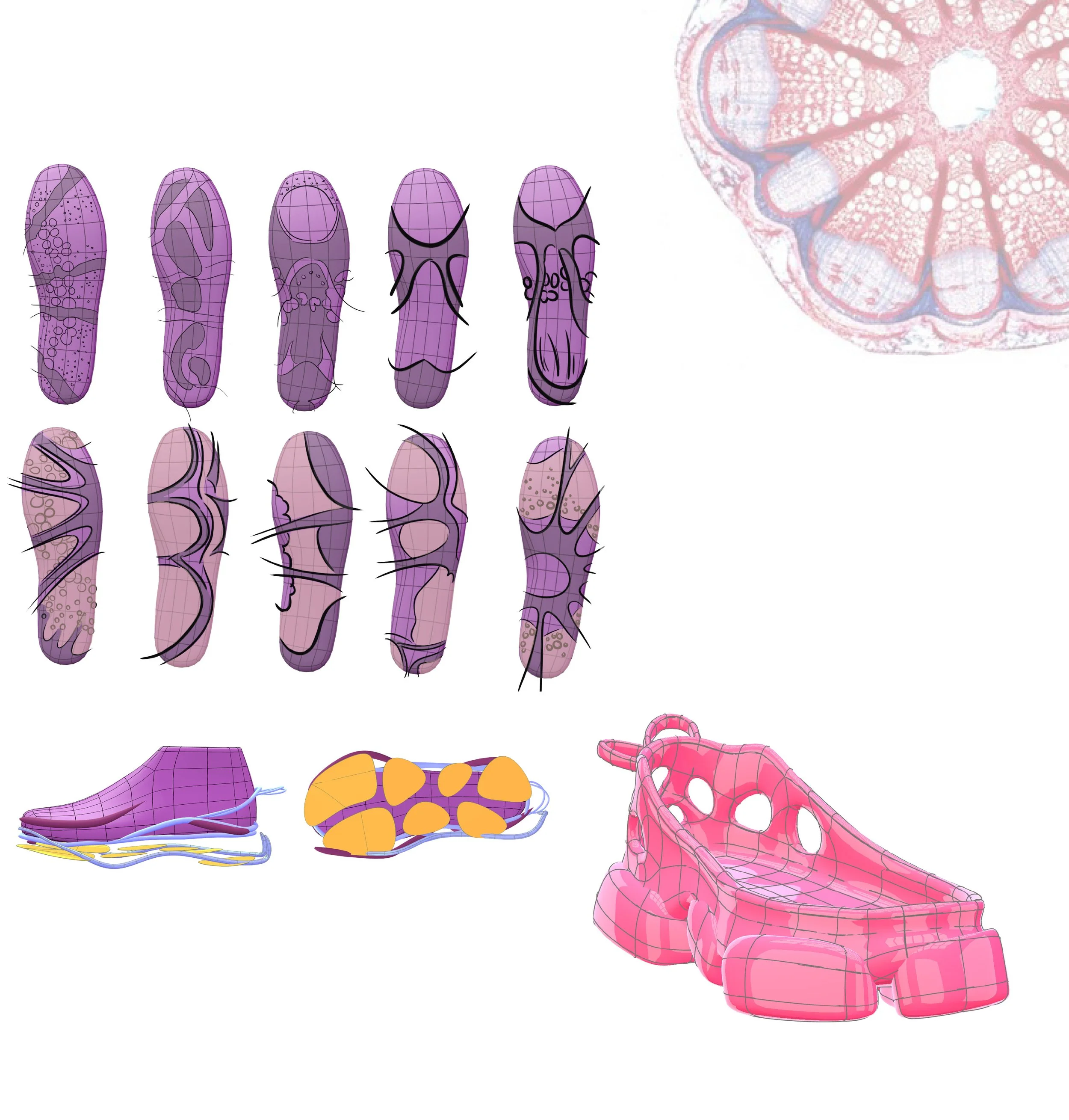 website layout-2.jpg