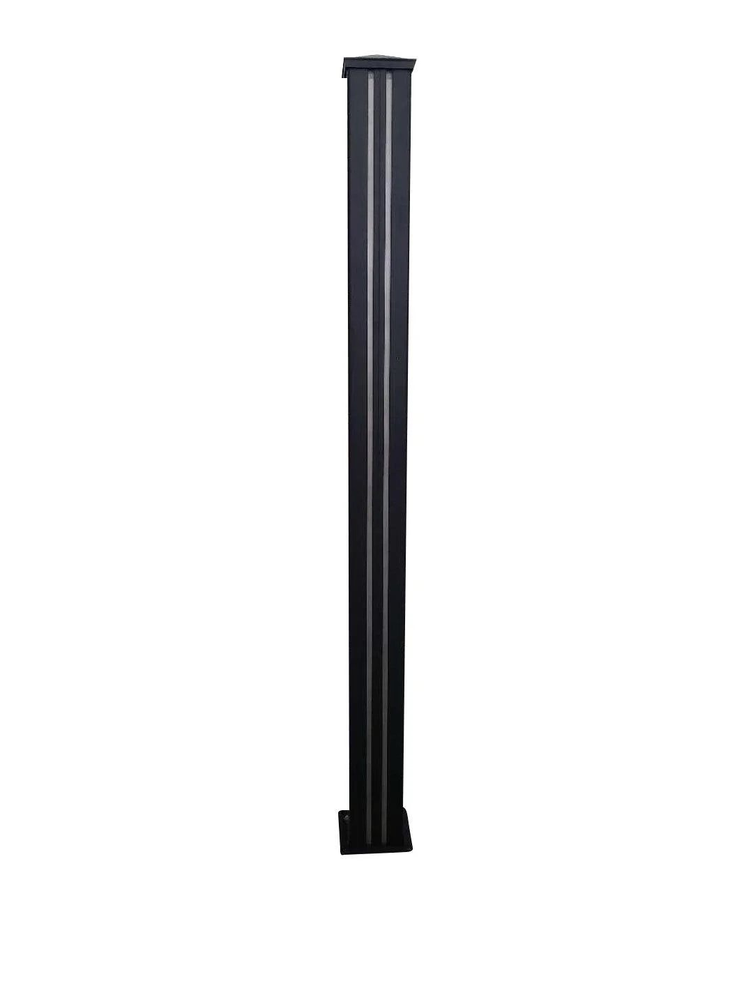 p5.jpg
