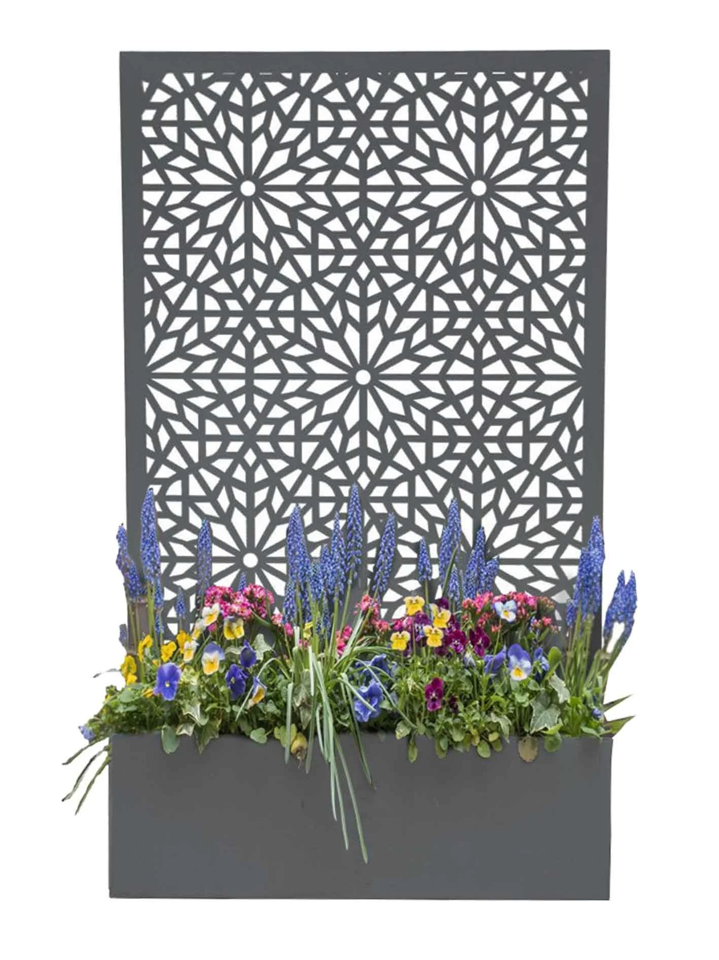 mouchgreyplanter_077c69d5-b7ac-4ed7-b516-481f7456628c.jpg