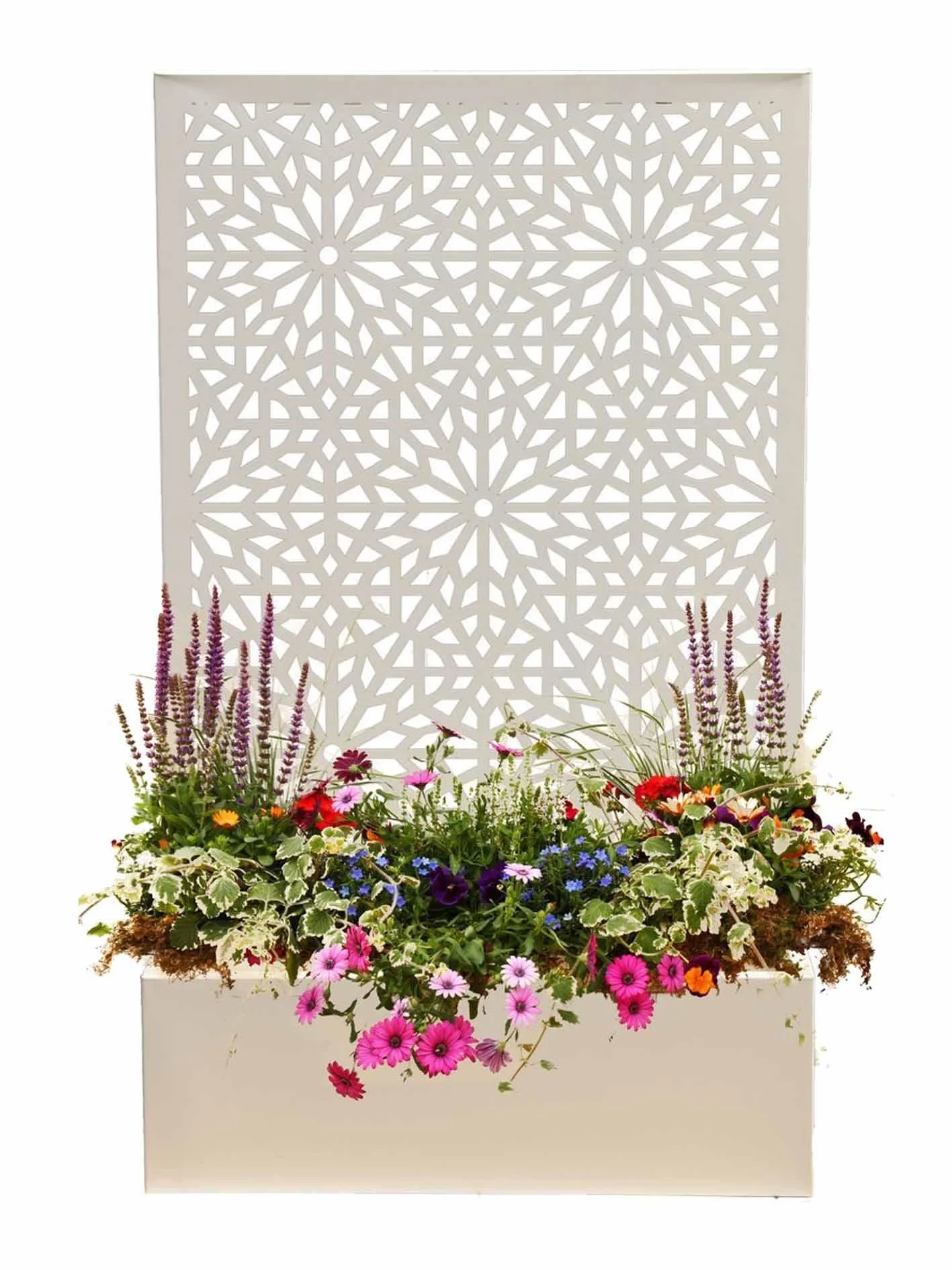 creammouchplanter_e789ac45-587a-4313-94d6-b85f5ff3e572.jpg