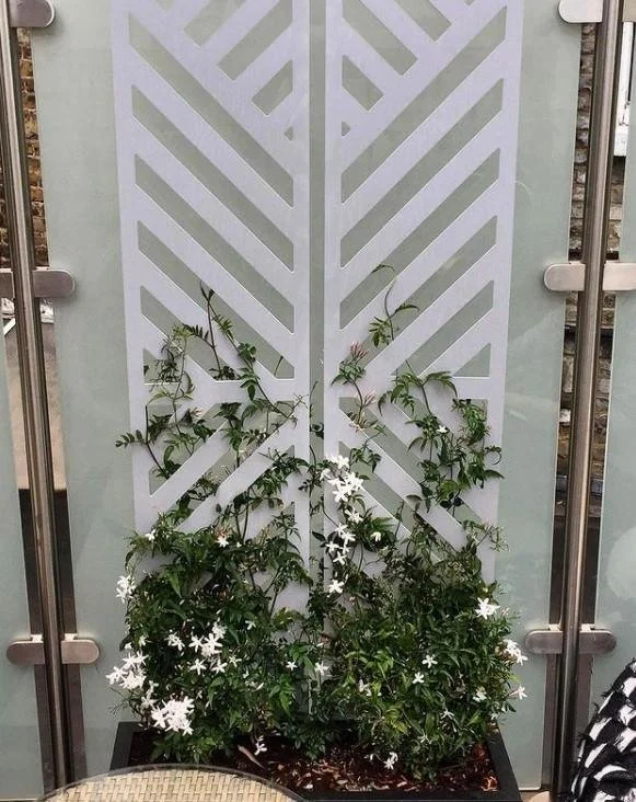 3-vector-trellis-screen-with-envy-8_7ff17769-0937-4b27-8dfa-b91ee7b4536e.jpg