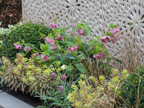 Screen With Envy @ The Ascot Spring Garden Show