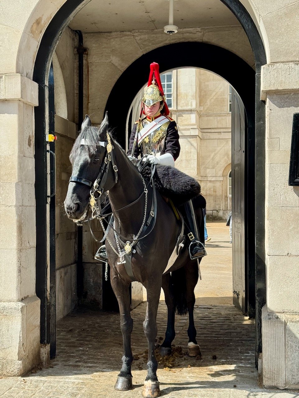 London Horse Guard