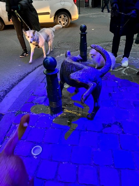 Zinneke Pis the last of the peeing statues in Brussels. The other dogs were a bit taken back funny to watch