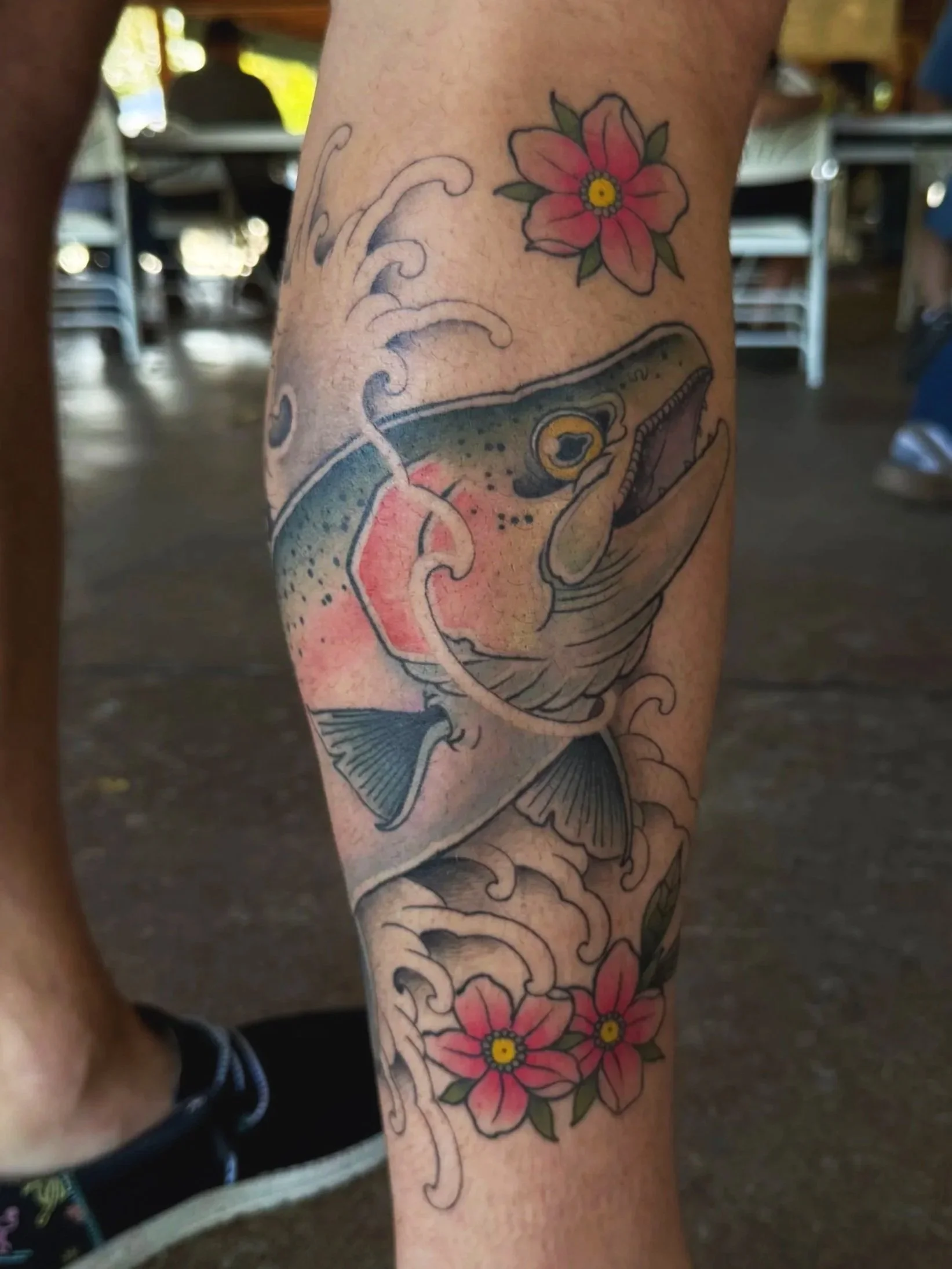 Steelhead with water and cherry blossoms, full color