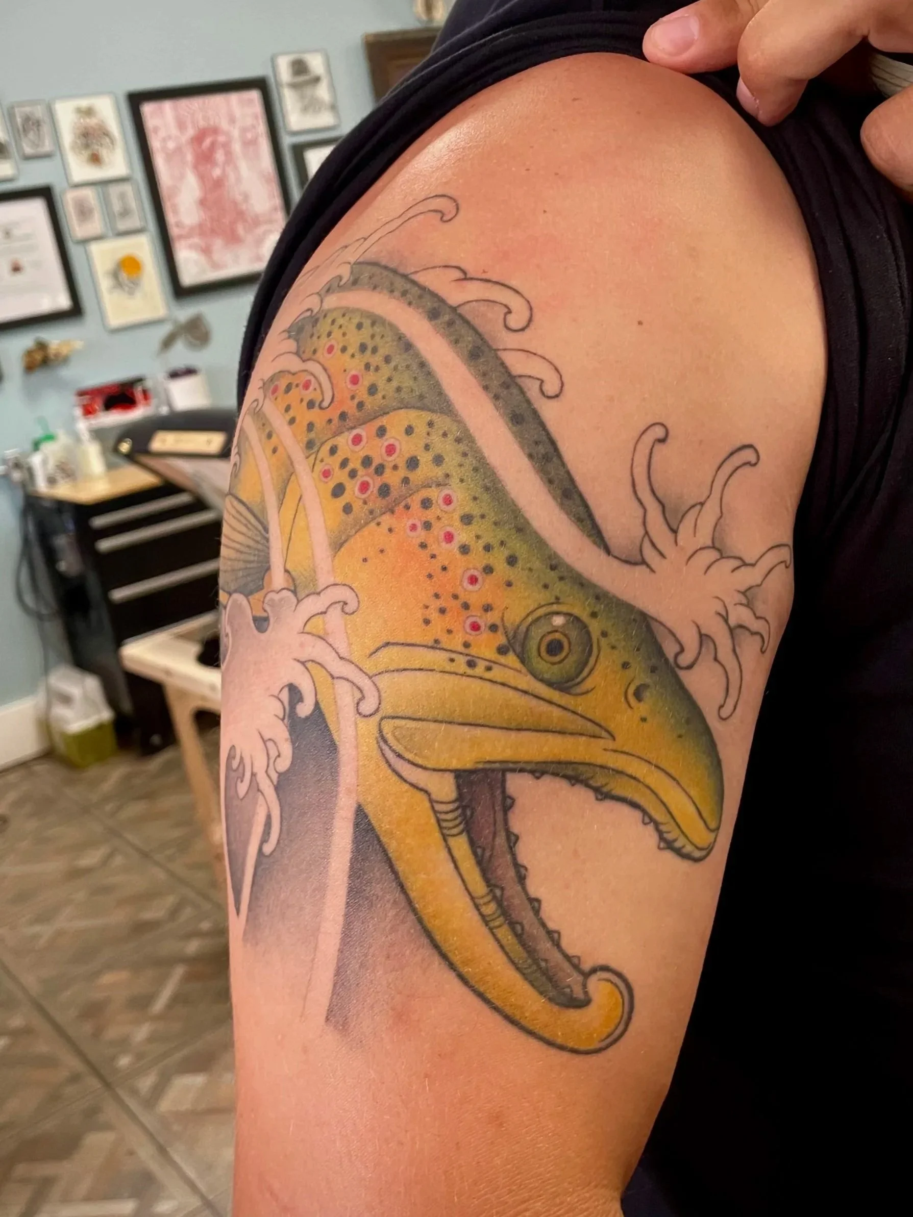 Brown Trout with water, full color