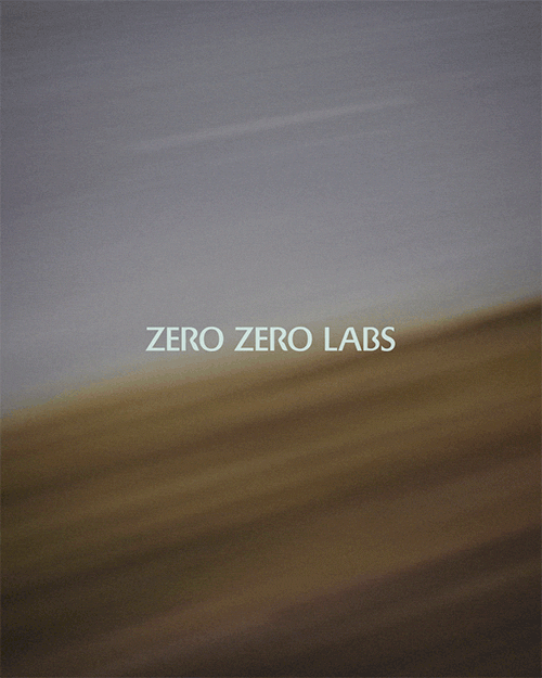 ZZL_COVER.gif