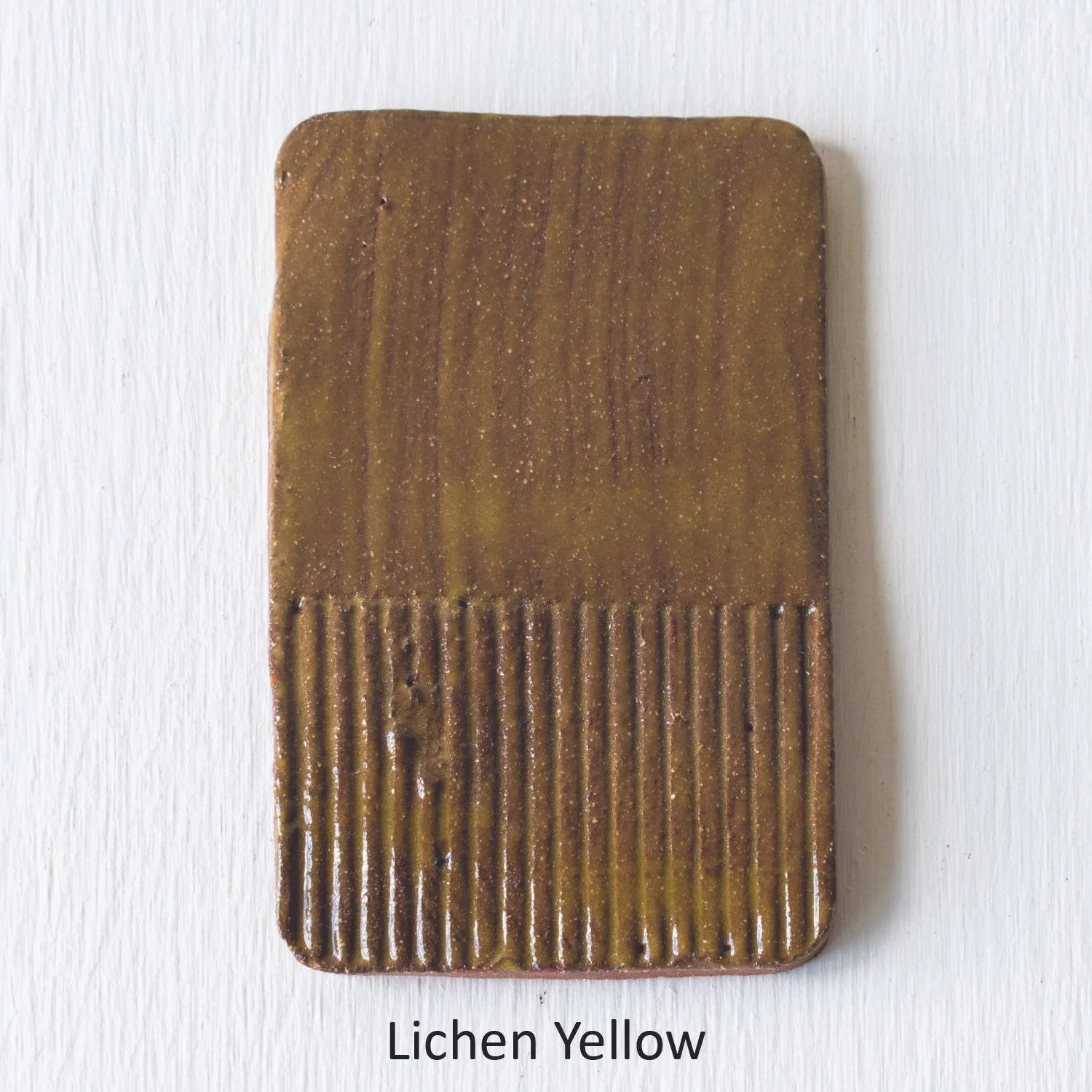lichen yellow.jpg