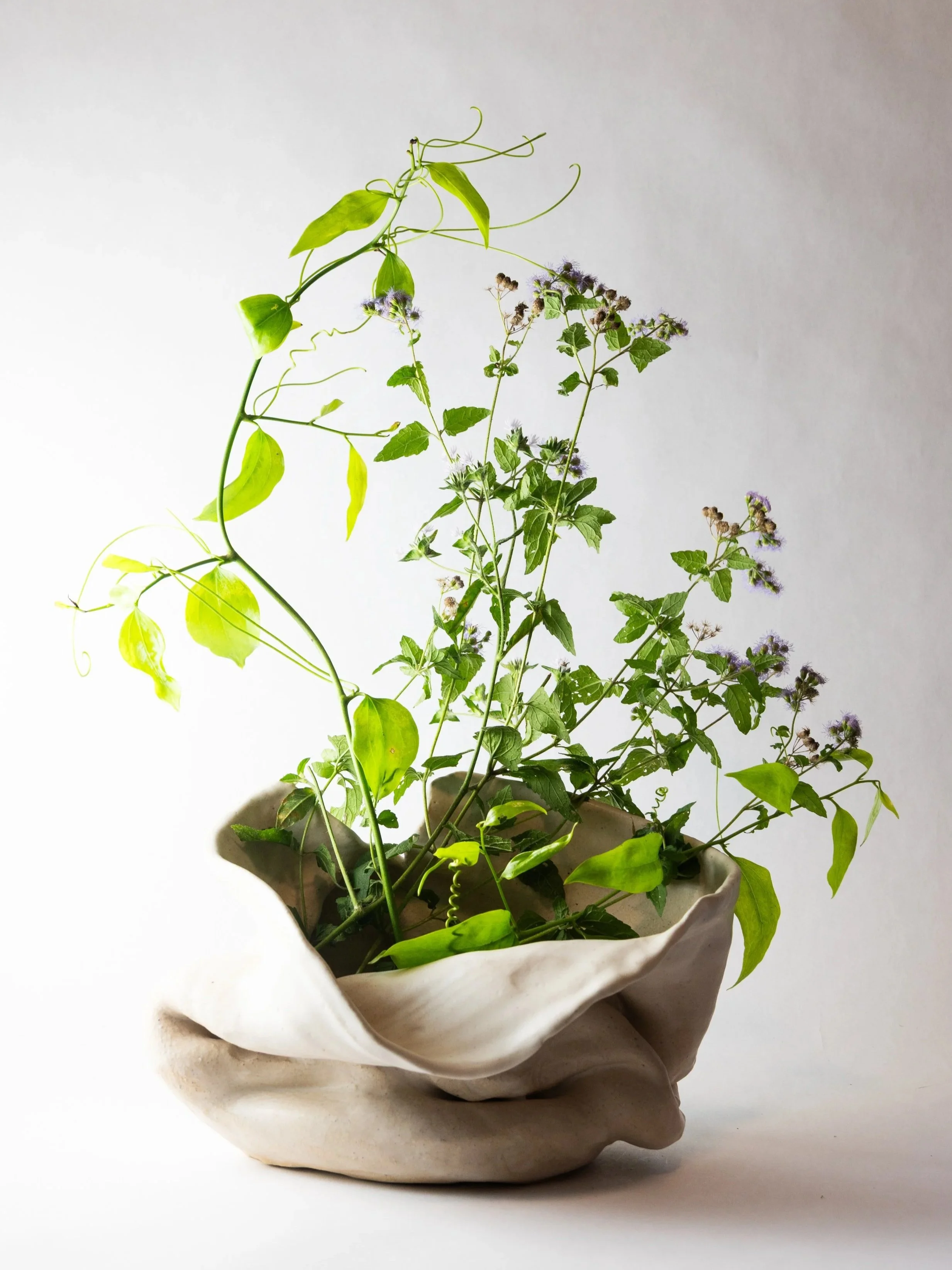 large+matte+white+wrinkle+vase-10.jpg