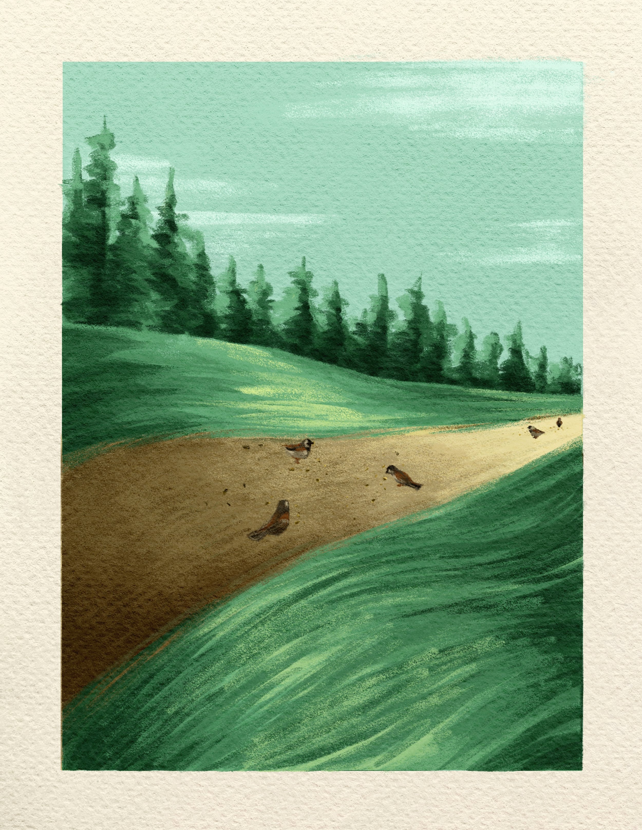 Untitled_Artwork 7 copy 2.jpg