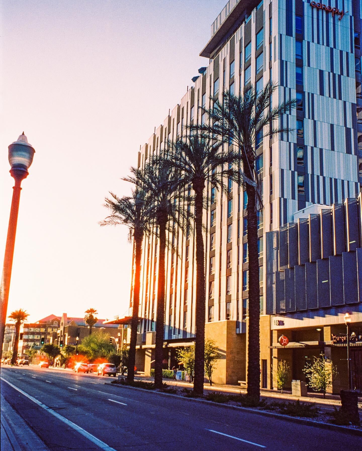 🌴☀️

#35mm #cinestill #kcfilmcollective #filmphotography #shootitwithfilm #filmwave #filmfeed #arizonaphotography