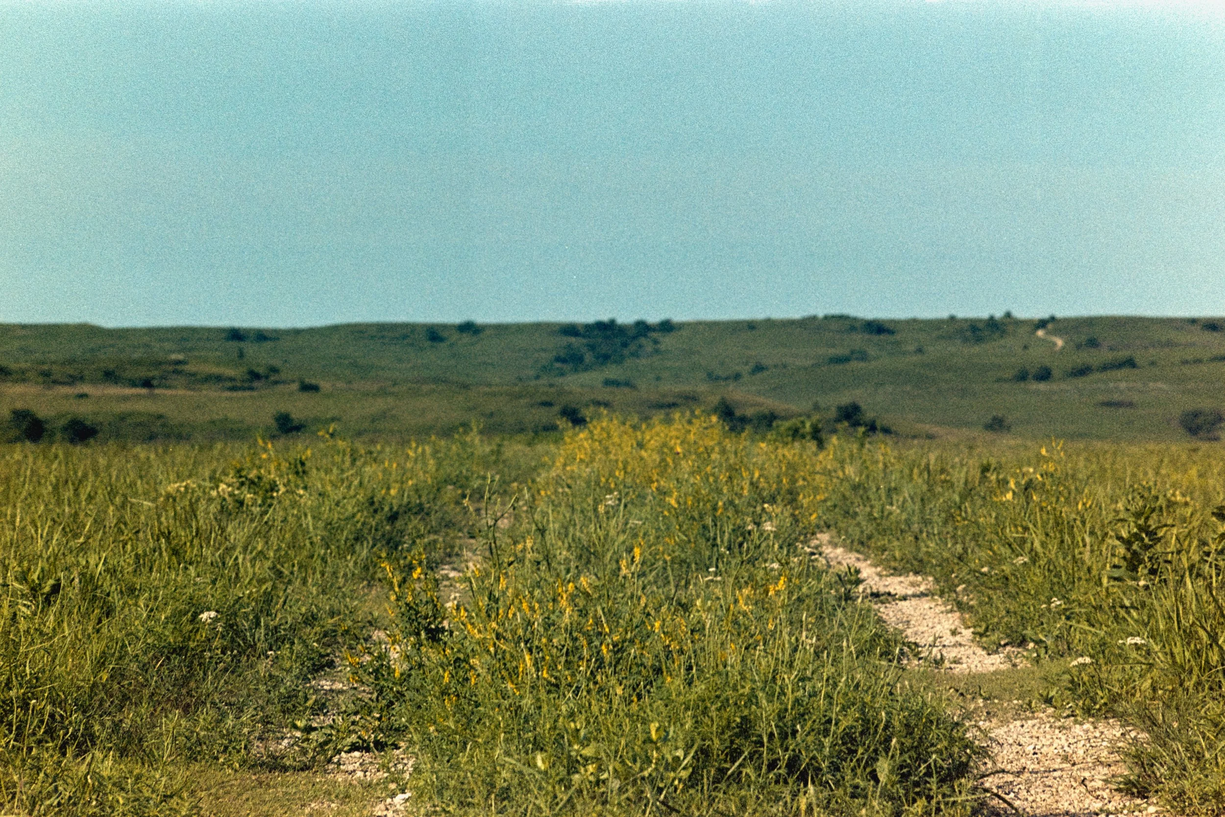 filmxlab_aj_wilane_1542_kodak_gold_200_26-2.jpg