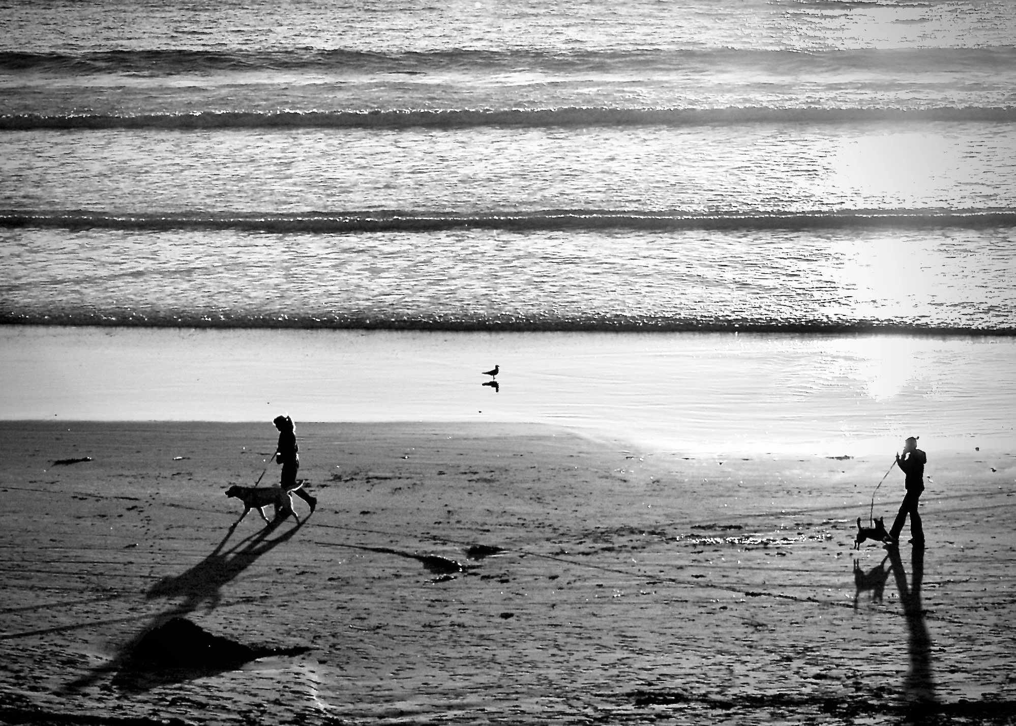beach.jpg