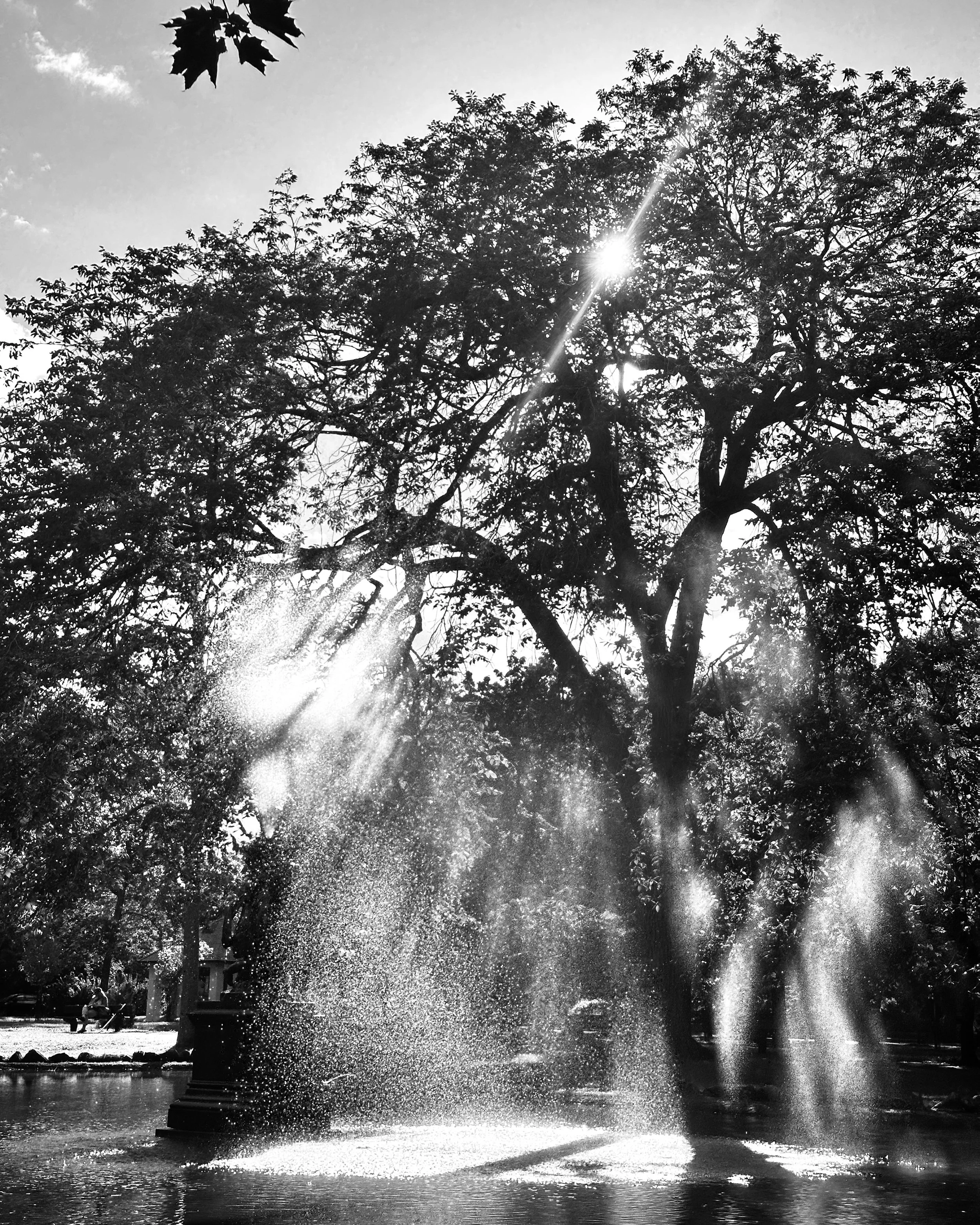 Illumination   Montreal, Canada