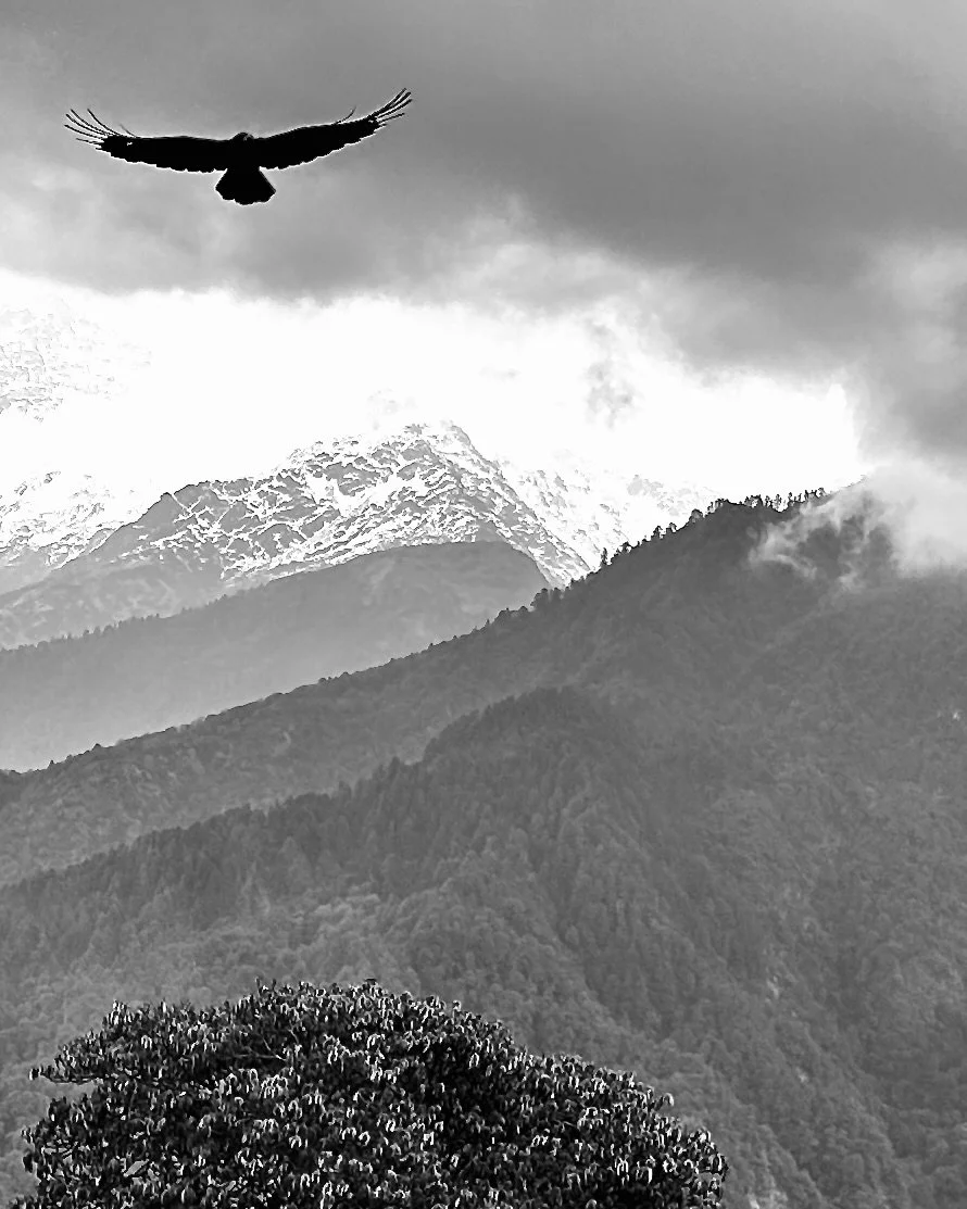 Freedom   Ulleri, Nepal