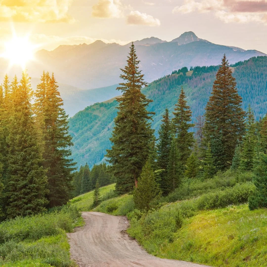 Idaho mountain landscape with pine trees, representing the nature-rooted values behind professional training and consultation at The Resiliency Center of Idaho.